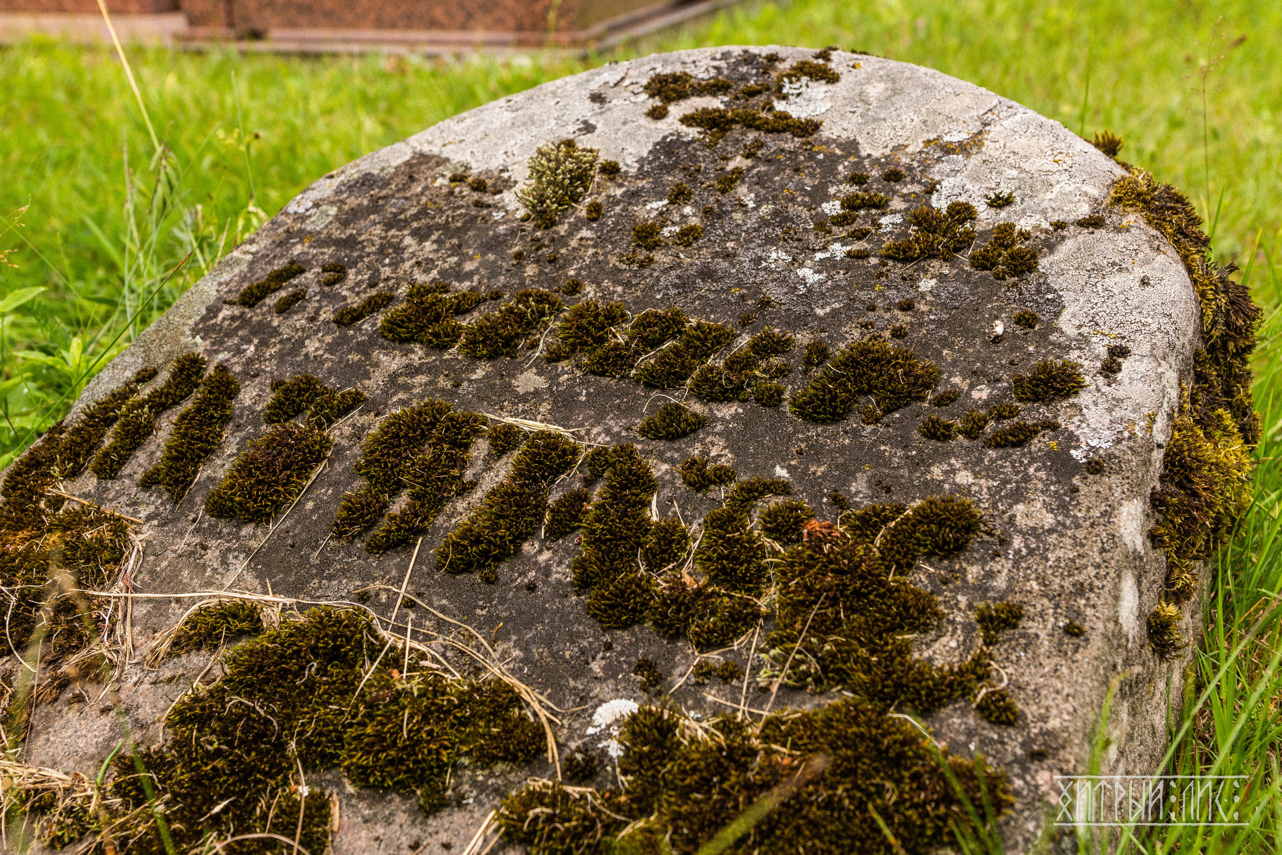 Беларусь. Фотограф-путешественник Самойлов Максим «Sly Fox»