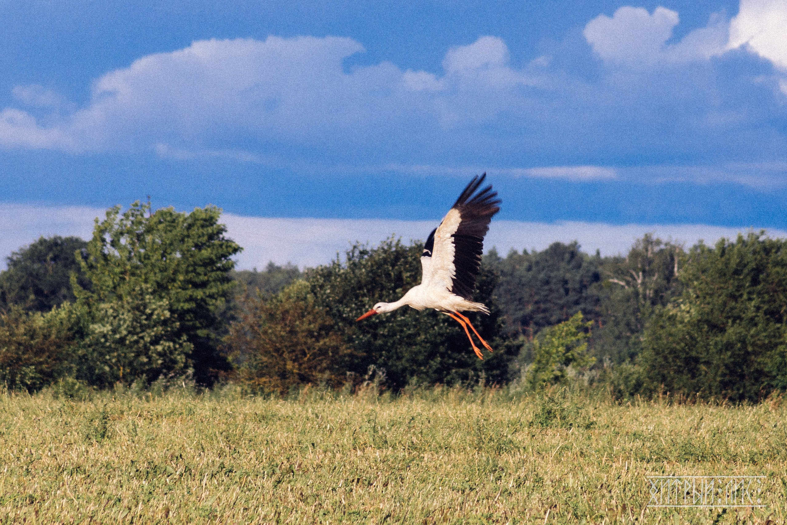 Беларусь. Фотограф-путешественник Самойлов Максим «Sly Fox»