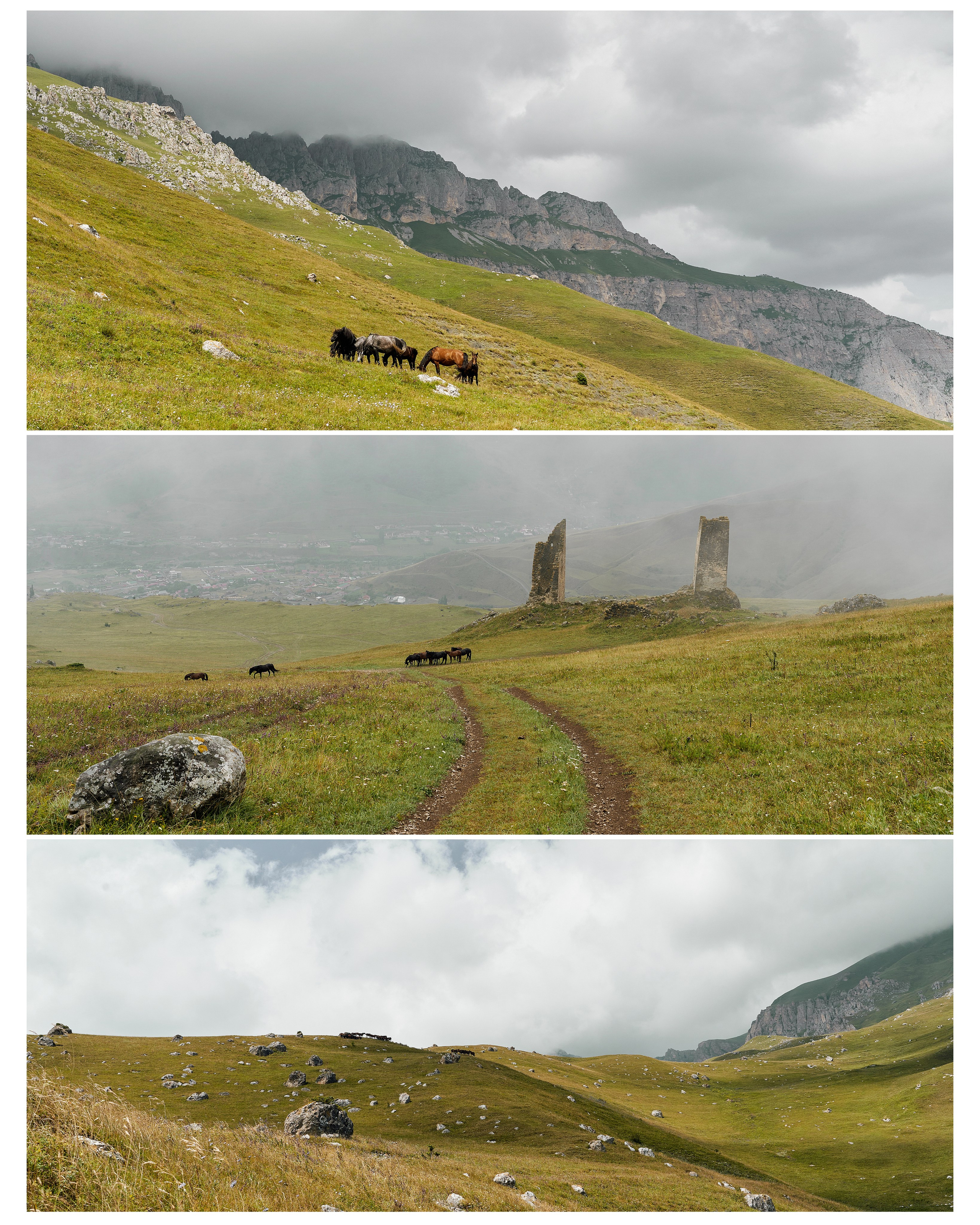 Блог. Фотограф и видеограф Елена Хмелевская