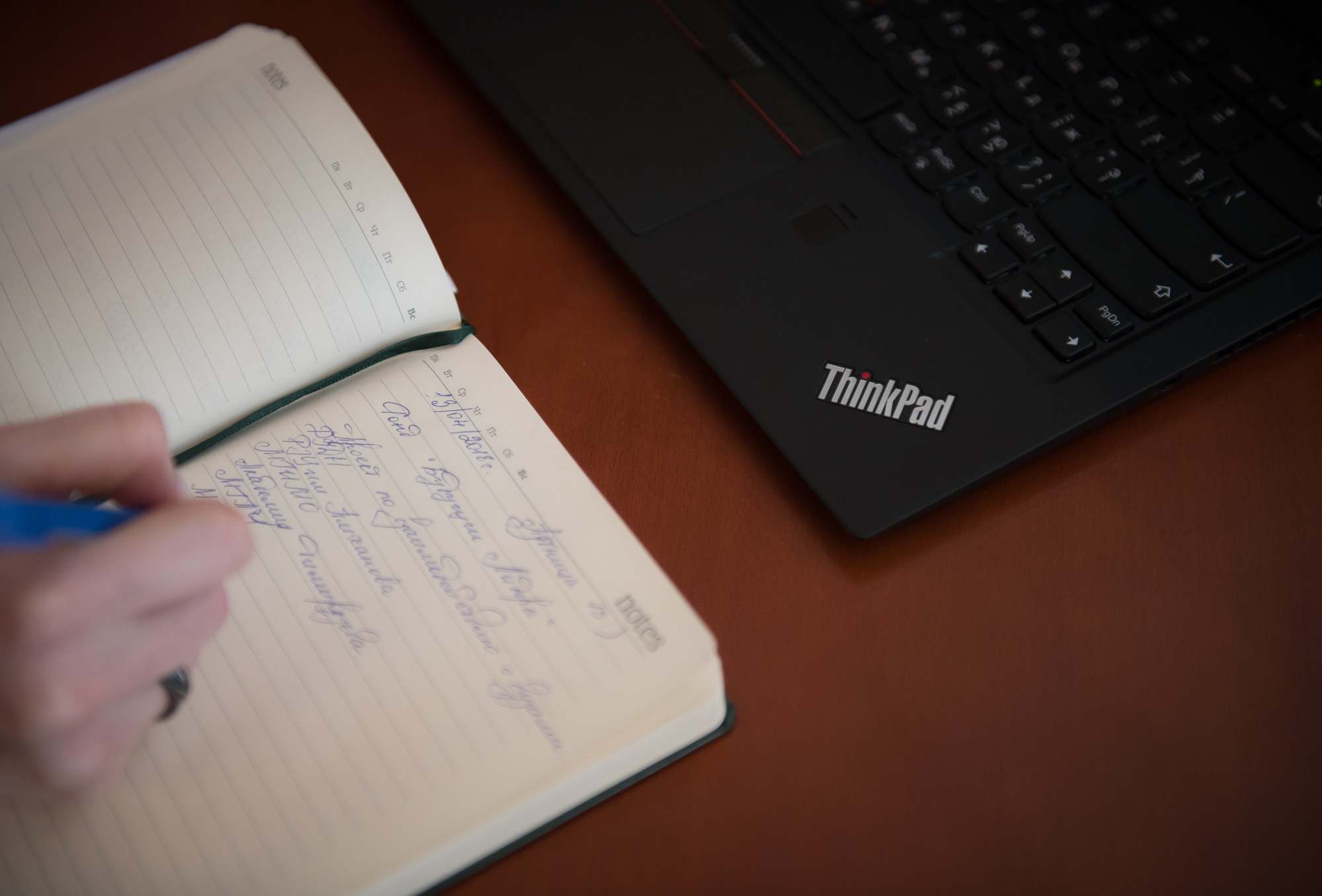 Бизнес портрет. Lucytheatre