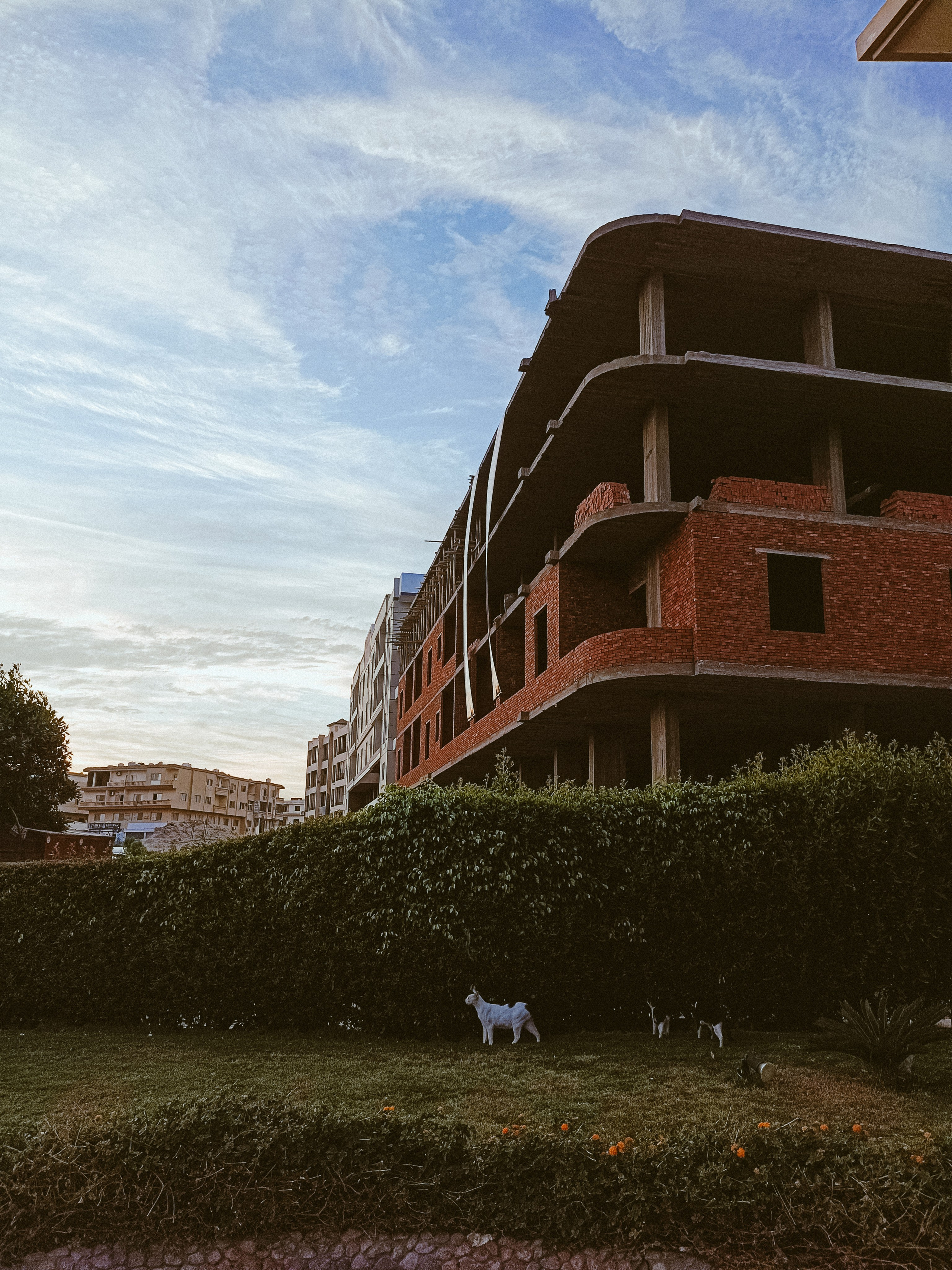 Мобильная. Jorgis — фотограф в Хургаде / обучение фотографии