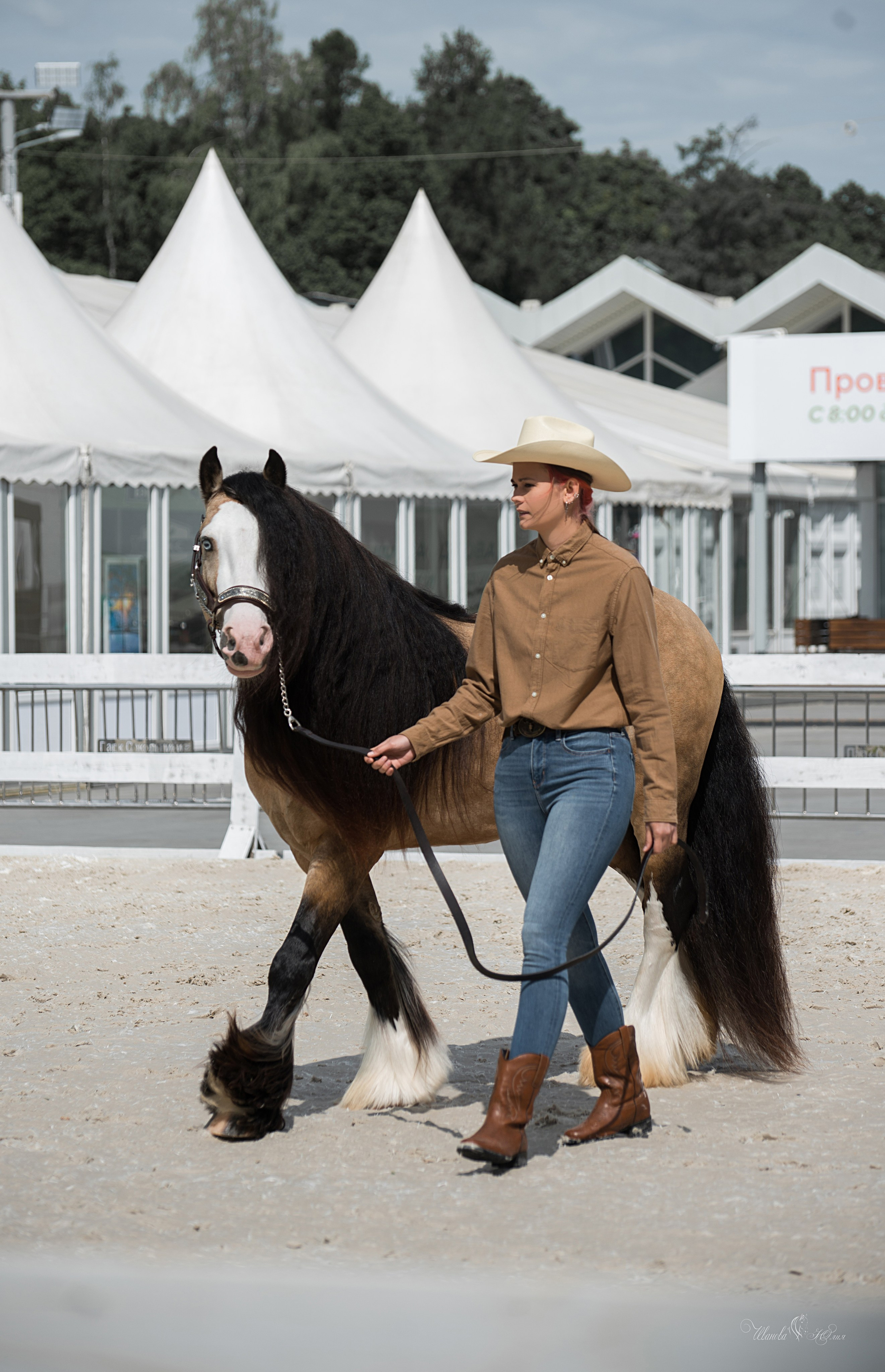 Эквирос, Москва. Конный фотограф в Саратове Юлия Иванова