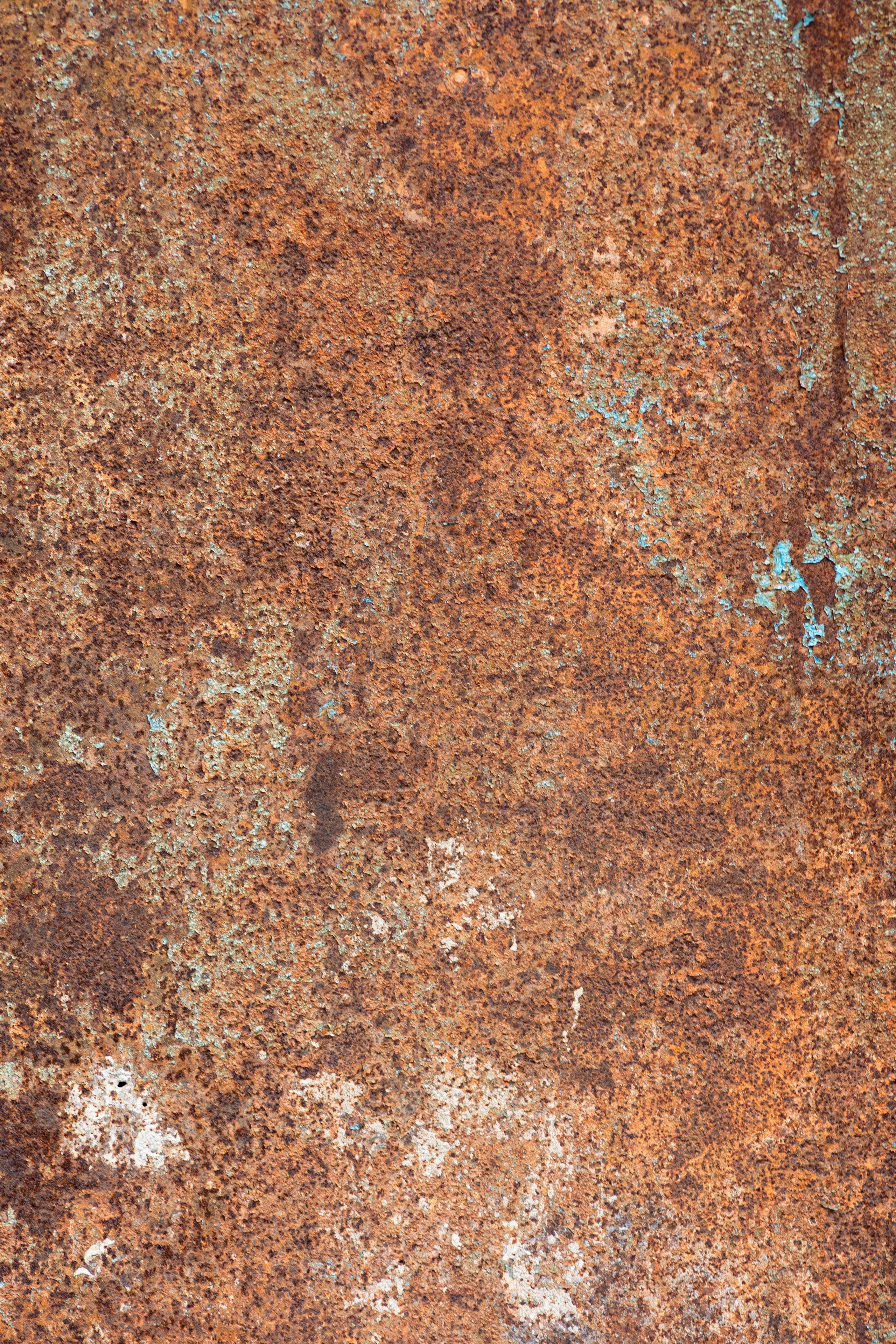 Как я собрал «Монстра» из ретро-оптики Tokina 200 mm f/3.5 и протестировал её на современной Canon R6 Mark II. Коммерческий и репортажный фотограф в Алматы — Jora Abramov