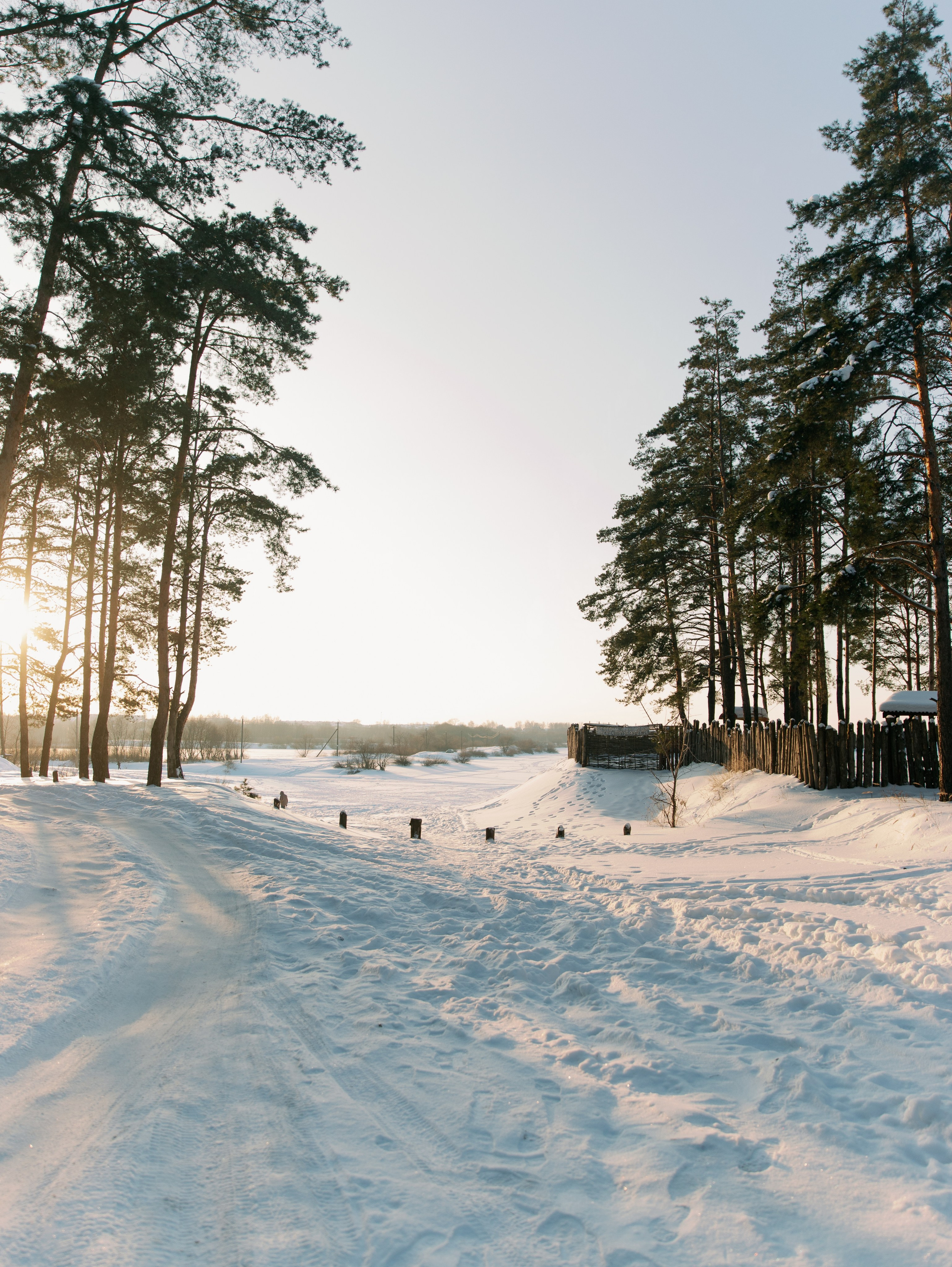 Семья. Свадебный фотограф в Москве и по всему миру