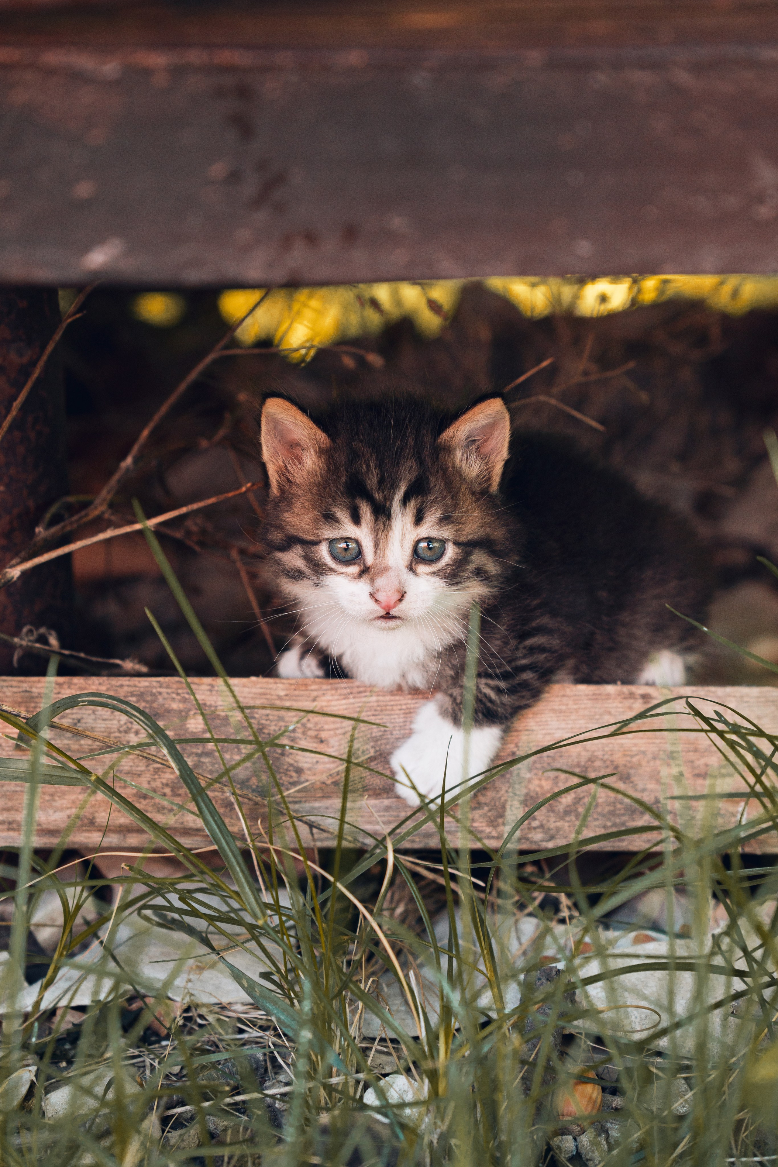 Дагестан. Gusarov Travel Photography