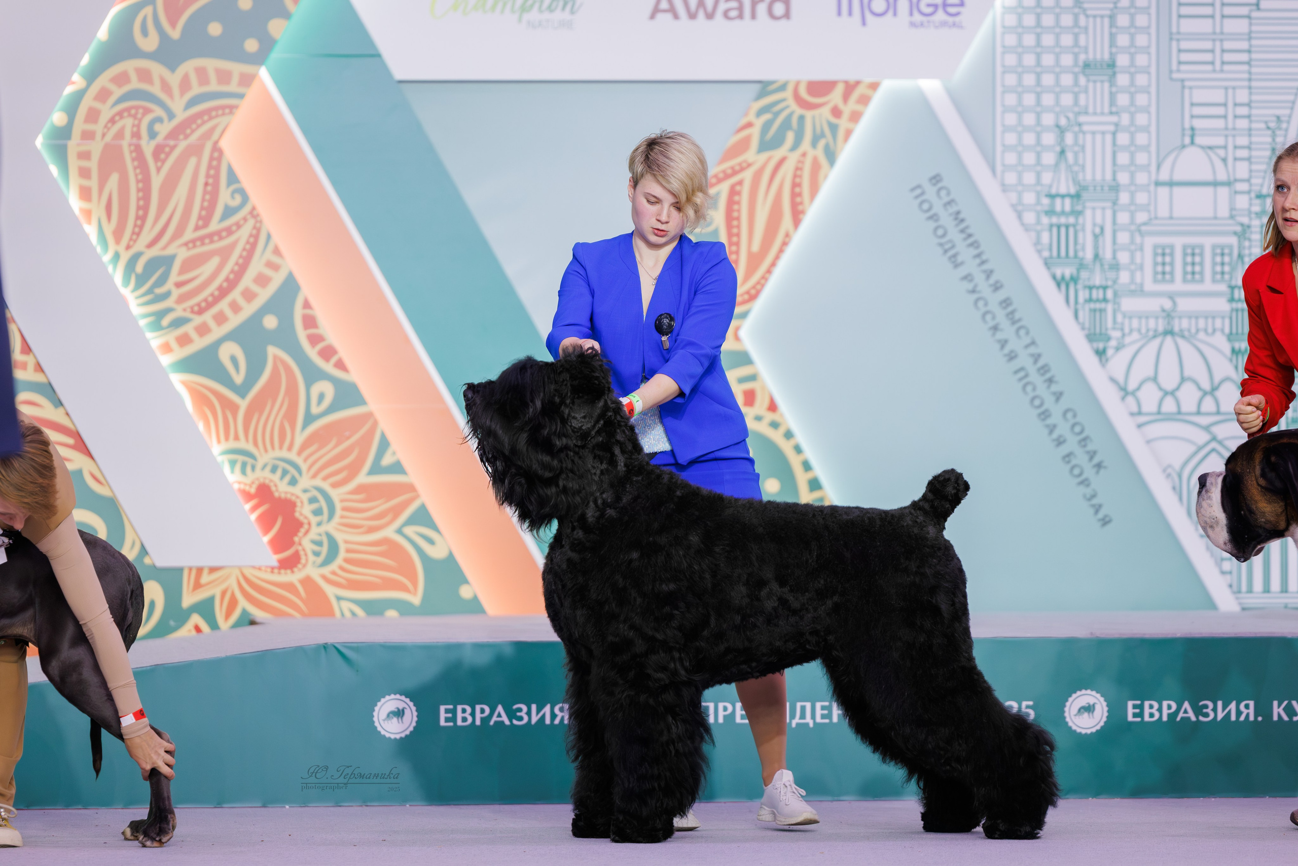 Евразия 15-16.11.2025. Фотограф-анималист Юлия Германика