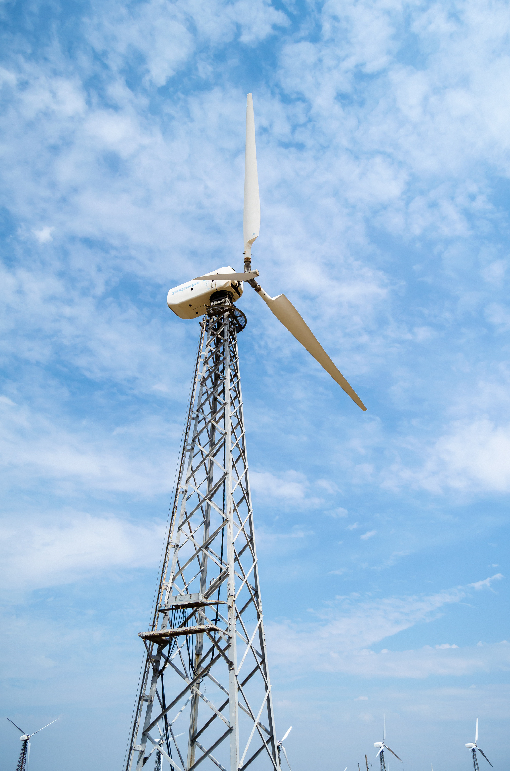 Случайные моменты. Бжицких Виталий — фотограф г. Ульяновск