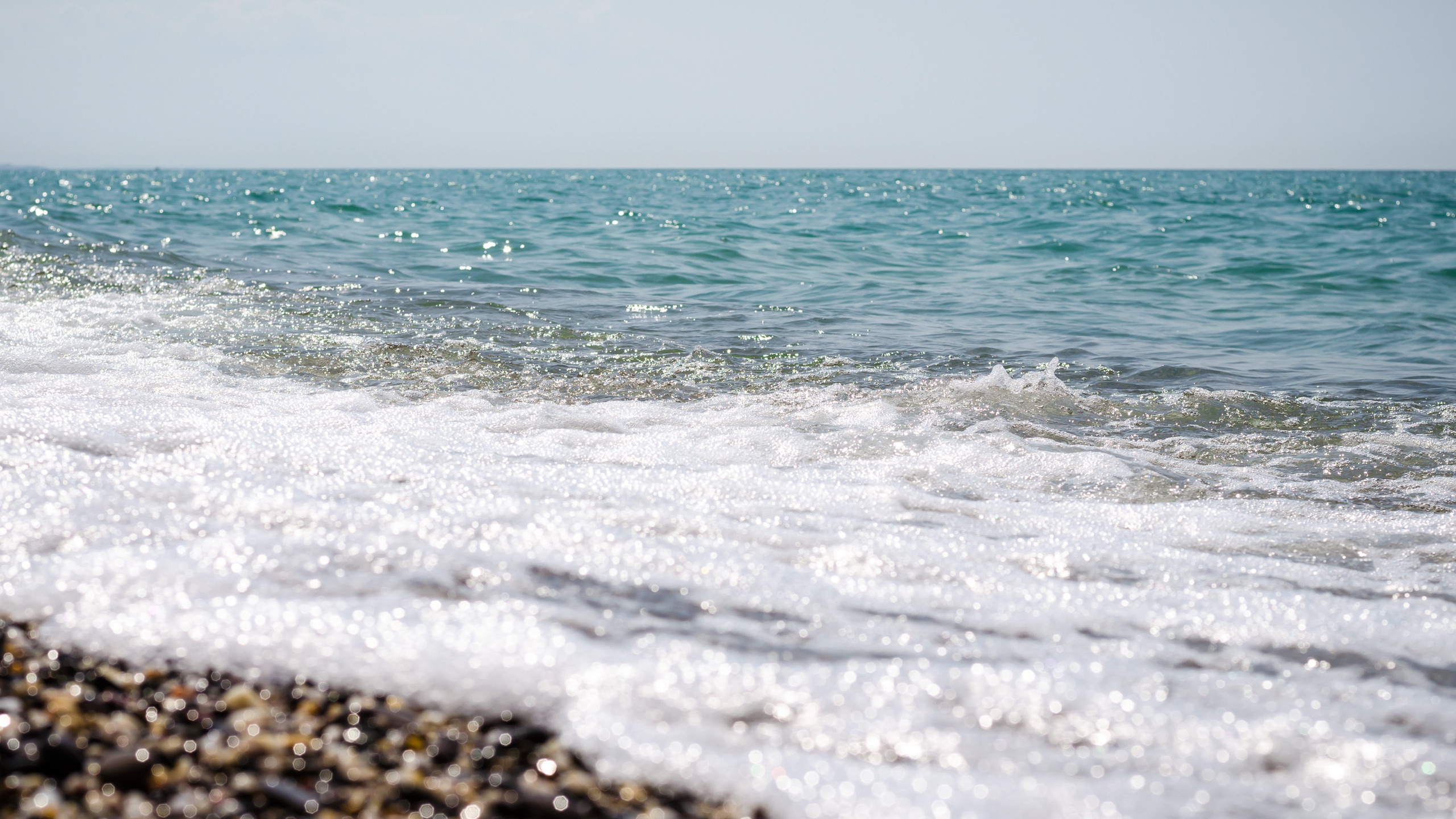 Случайные моменты. Бжицких Виталий — фотограф г. Ульяновск