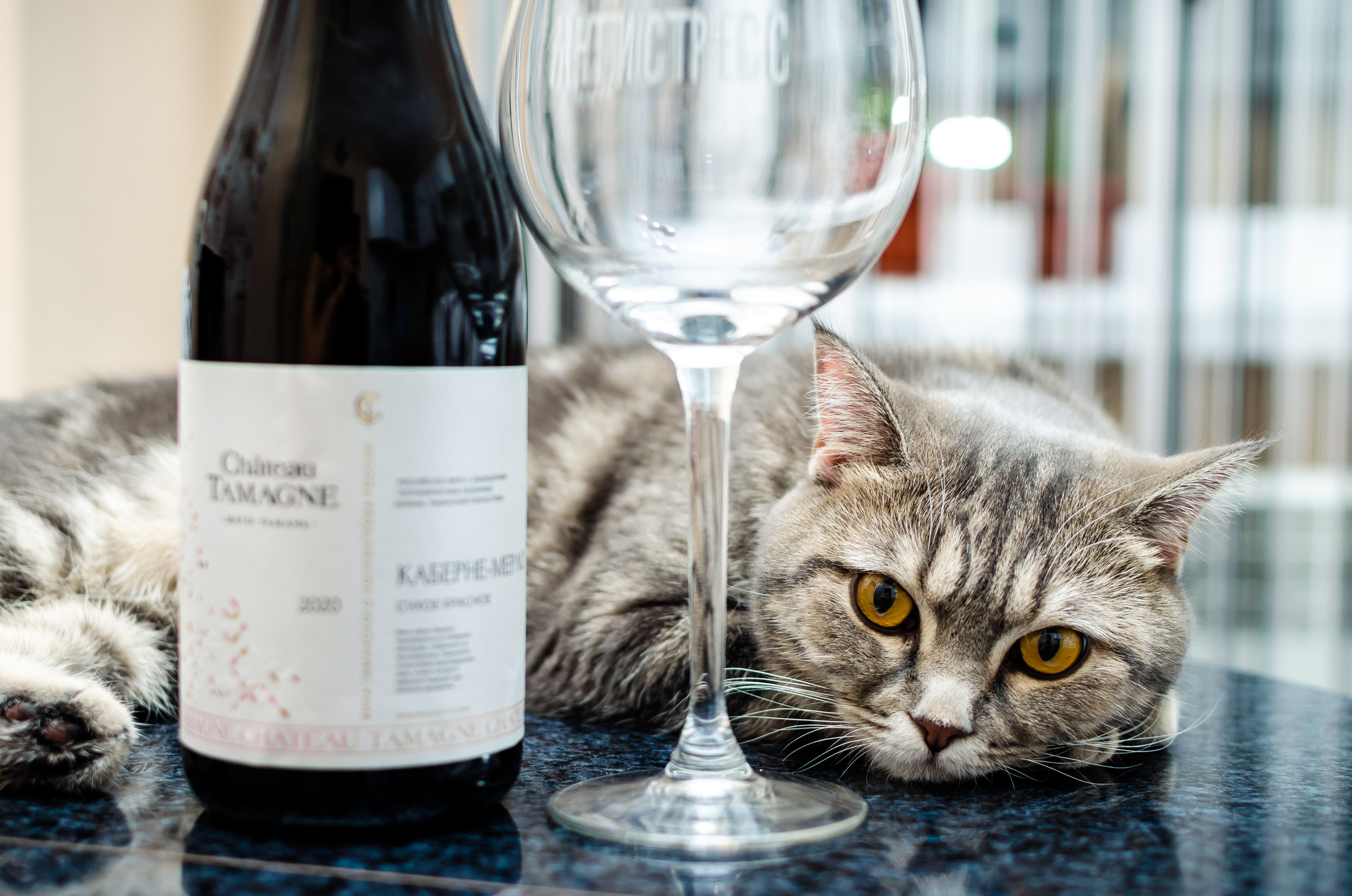 Случайные моменты. Бжицких Виталий — фотограф г. Ульяновск