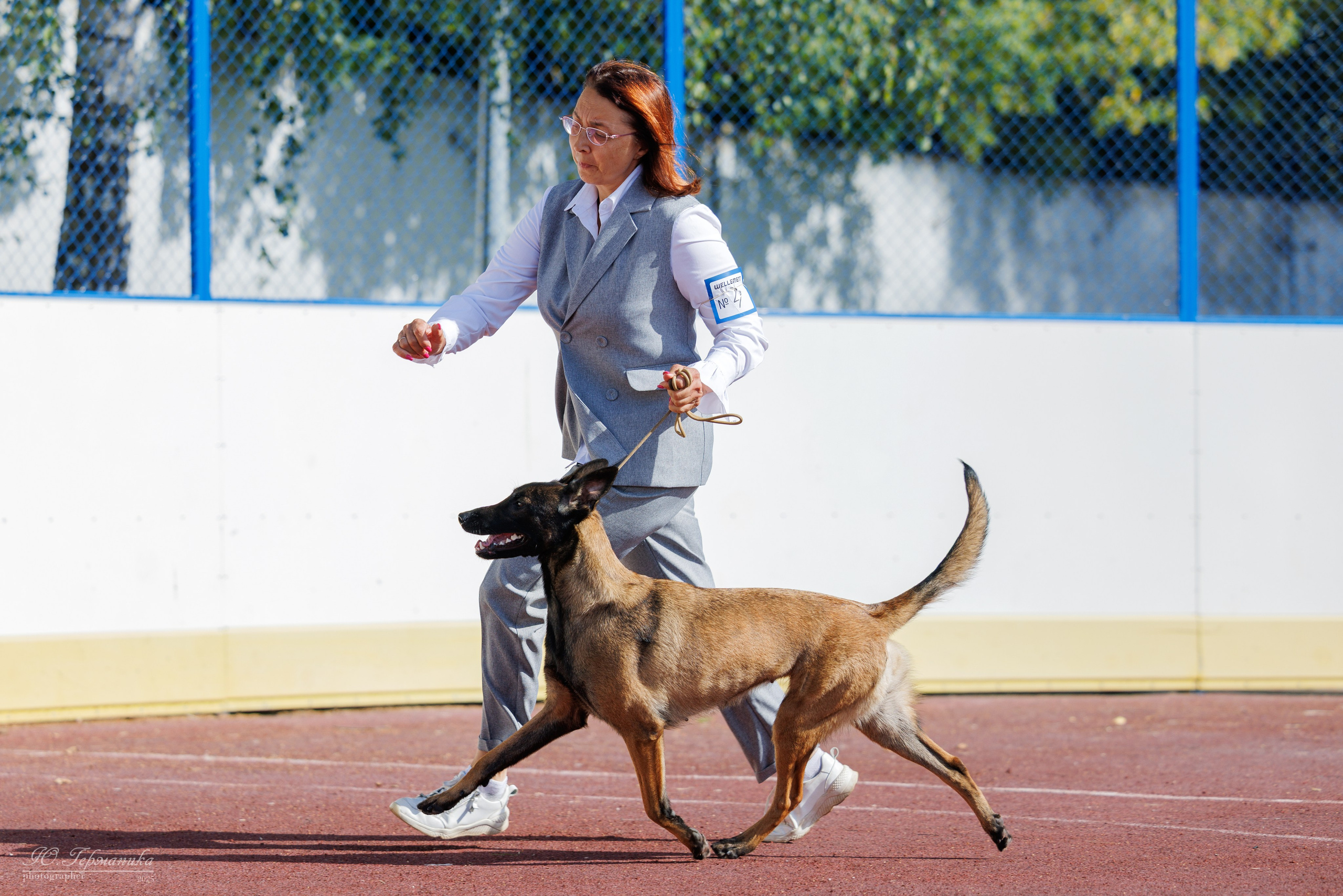 Коломна 30.08.2025. Фотограф-анималист Юлия Германика