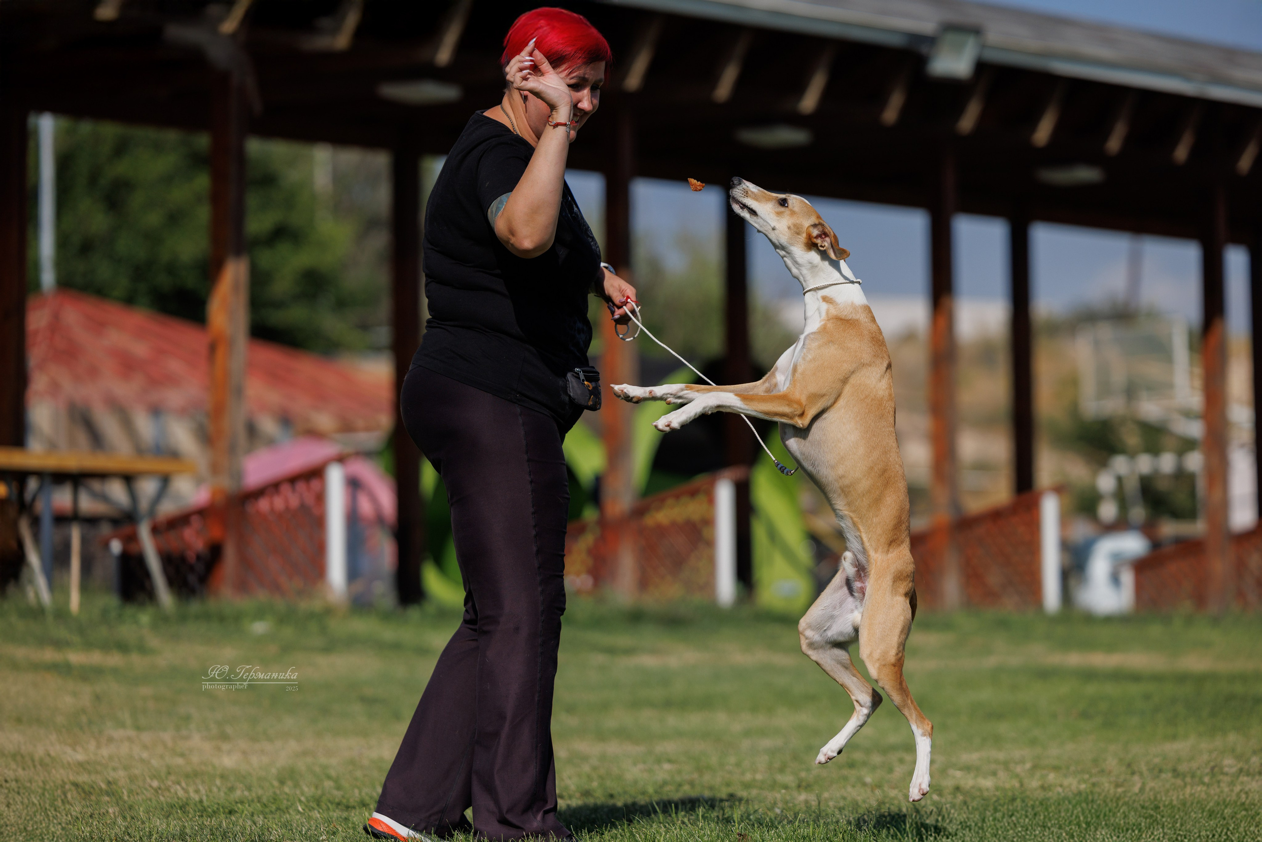 Ереван 3хCACIB 23-25.06.2025. Фотограф-анималист Юлия Германика