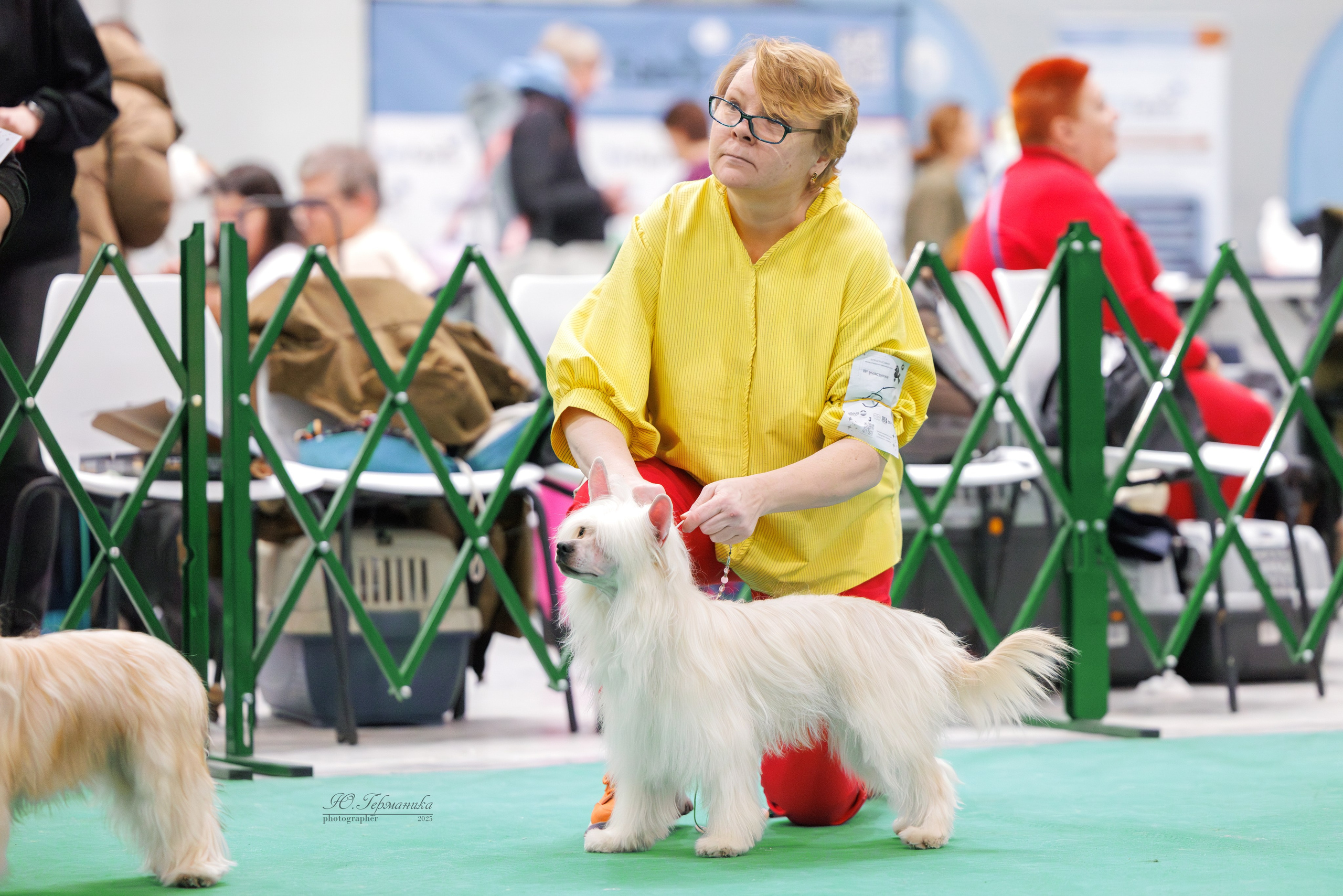 Гран-При 8.02.2025 и Крокус 09.02.2025. Фотограф-анималист Юлия Германика