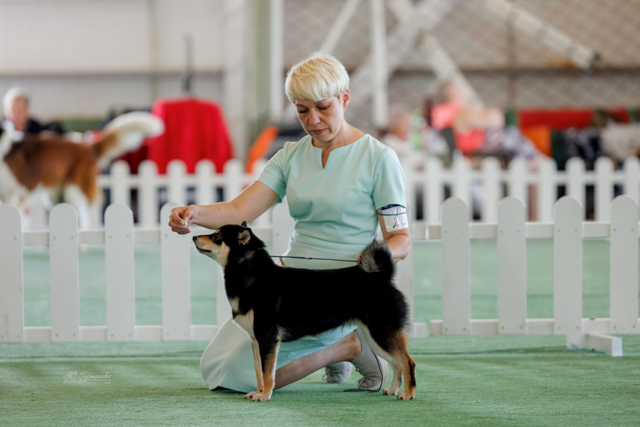 Батуми 3хCACIB 27-29.06.2025. Фотограф-анималист Юлия Германика