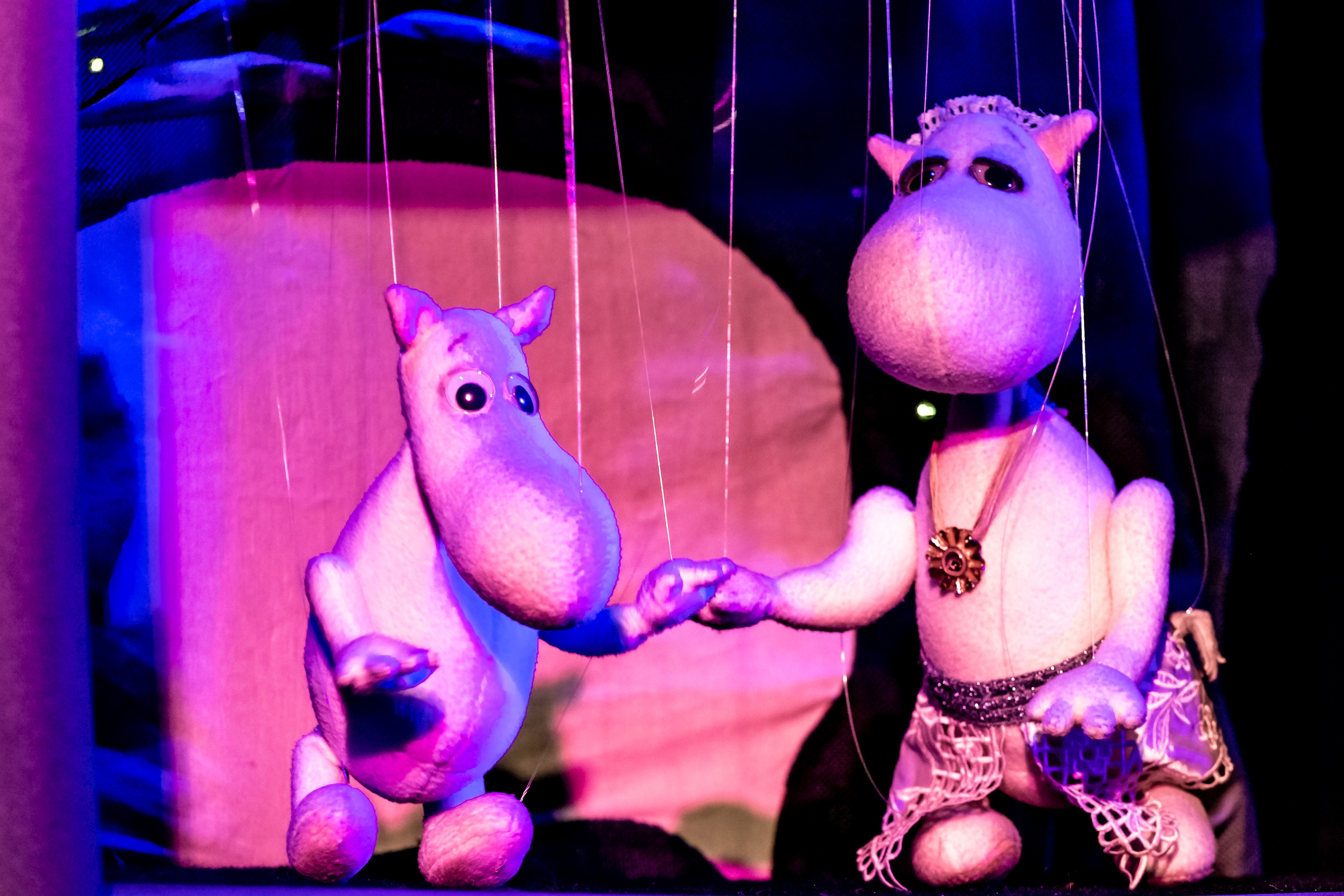 «Муми тролли и большое наводнение». Фотограф в Сочи Юрий Шептаев