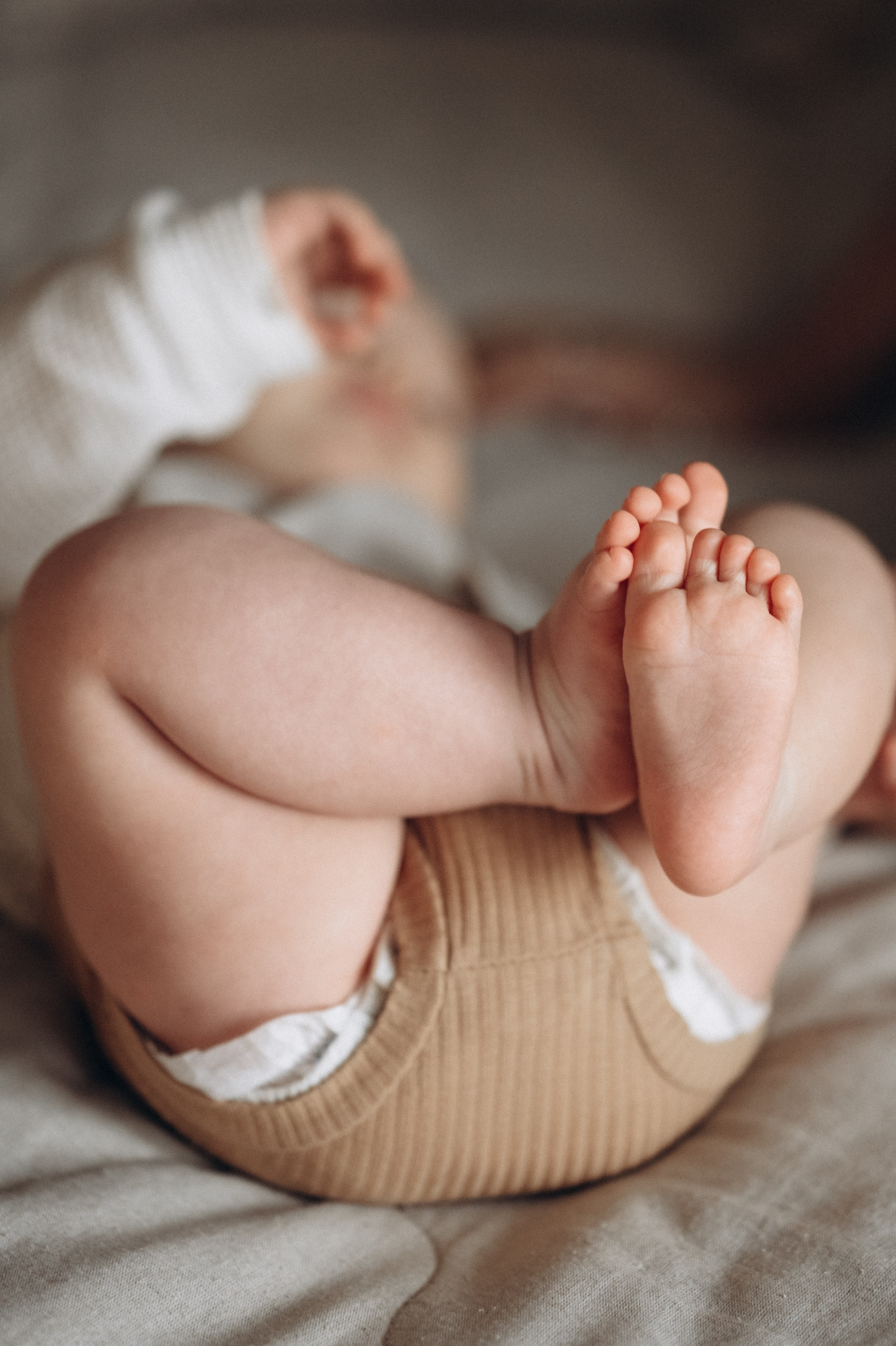 Женя, Вика, Давид и Молли. Фотограф Горбенко Анна