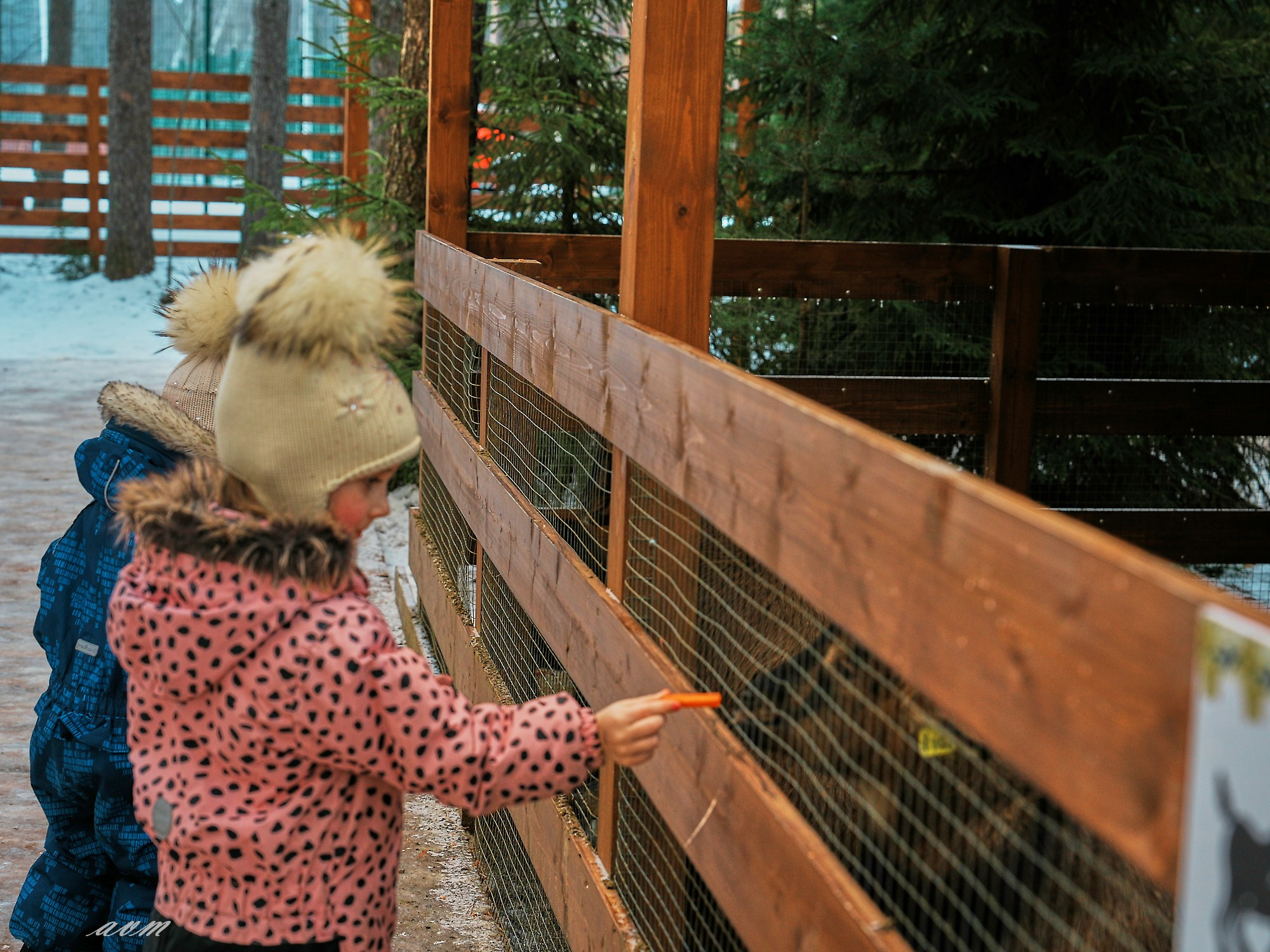 Новый год 2024-2025 Охта Парк. Фотограф Михеев Андрей