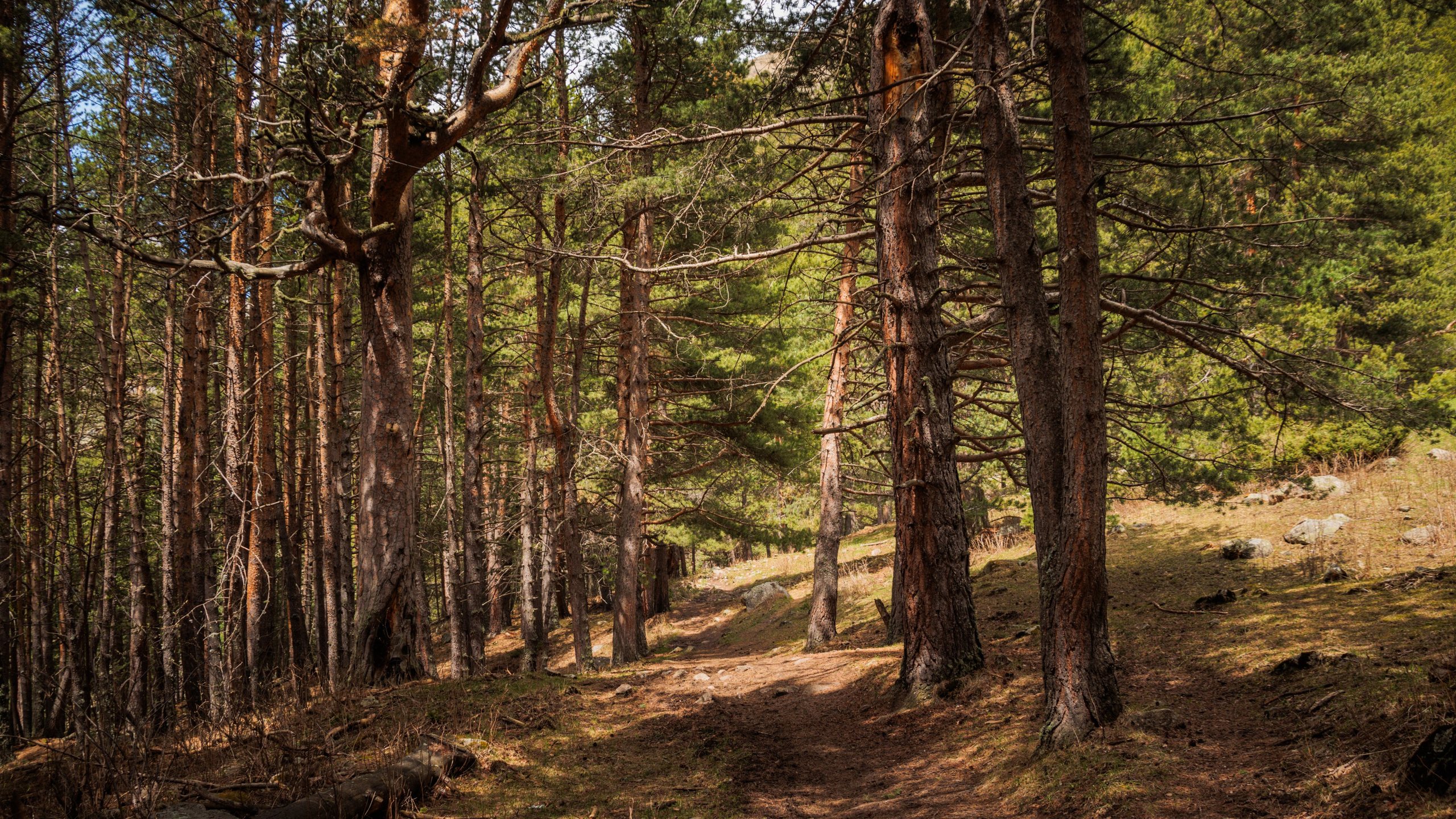 Трекинг / Ирик. Фотограф на трекинг и восхождение Эльбрус, Приэльбрусье. Елизавета Бобок