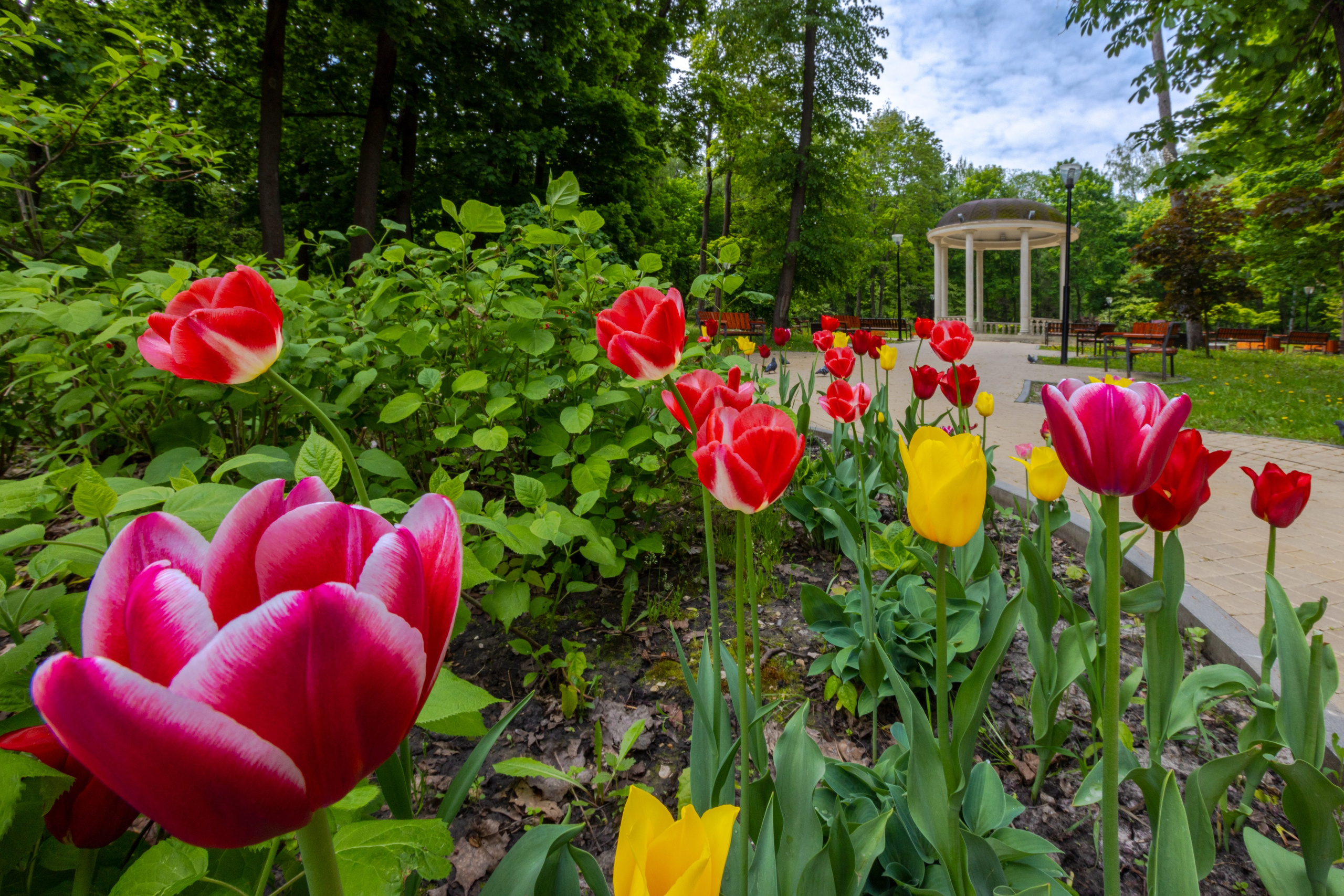 Парк им. П. П. Белоусова г. Тула 2024 г. Фотограф в Туле Крупский АнДРей. Фотостудия «КАДР71» в Туле