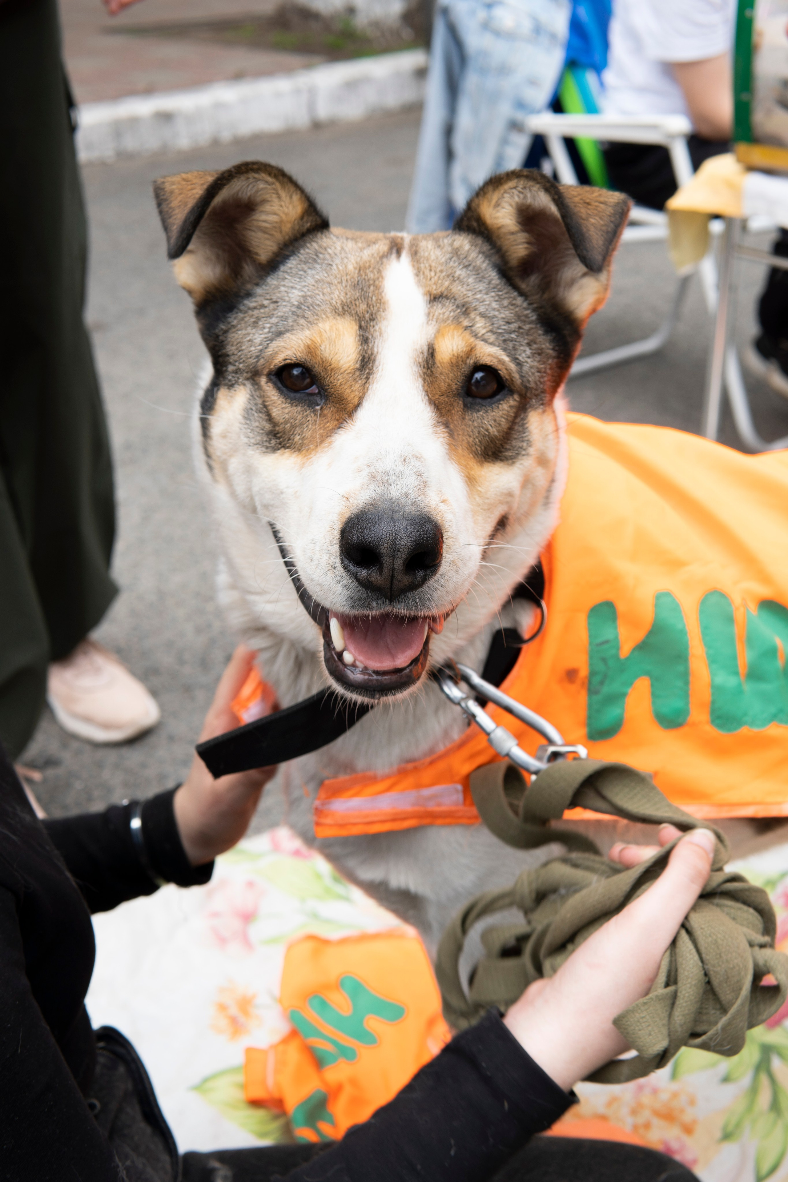 Проект к 650-ти летию города Кирова. Фотограф Киров Токарева Марина