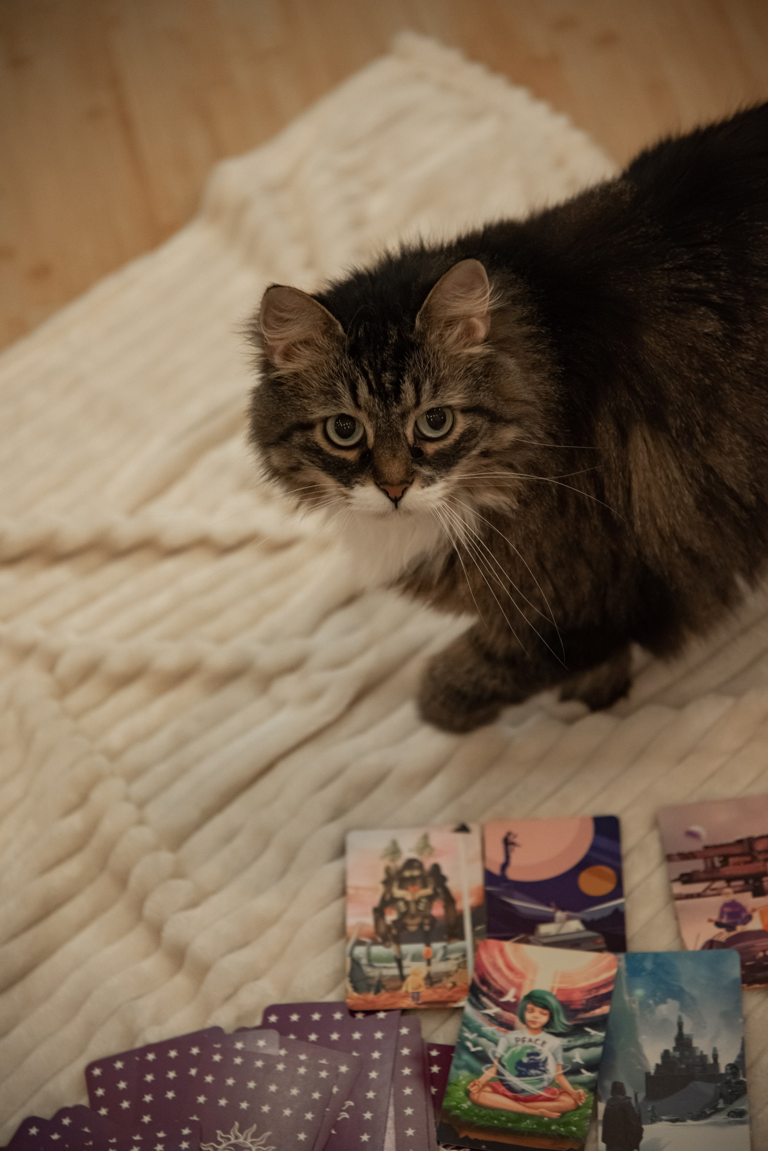 Наталья. Психолог, арт-терапевт. Фотограф в Санкт-Петербурге Ковалева Елизавета