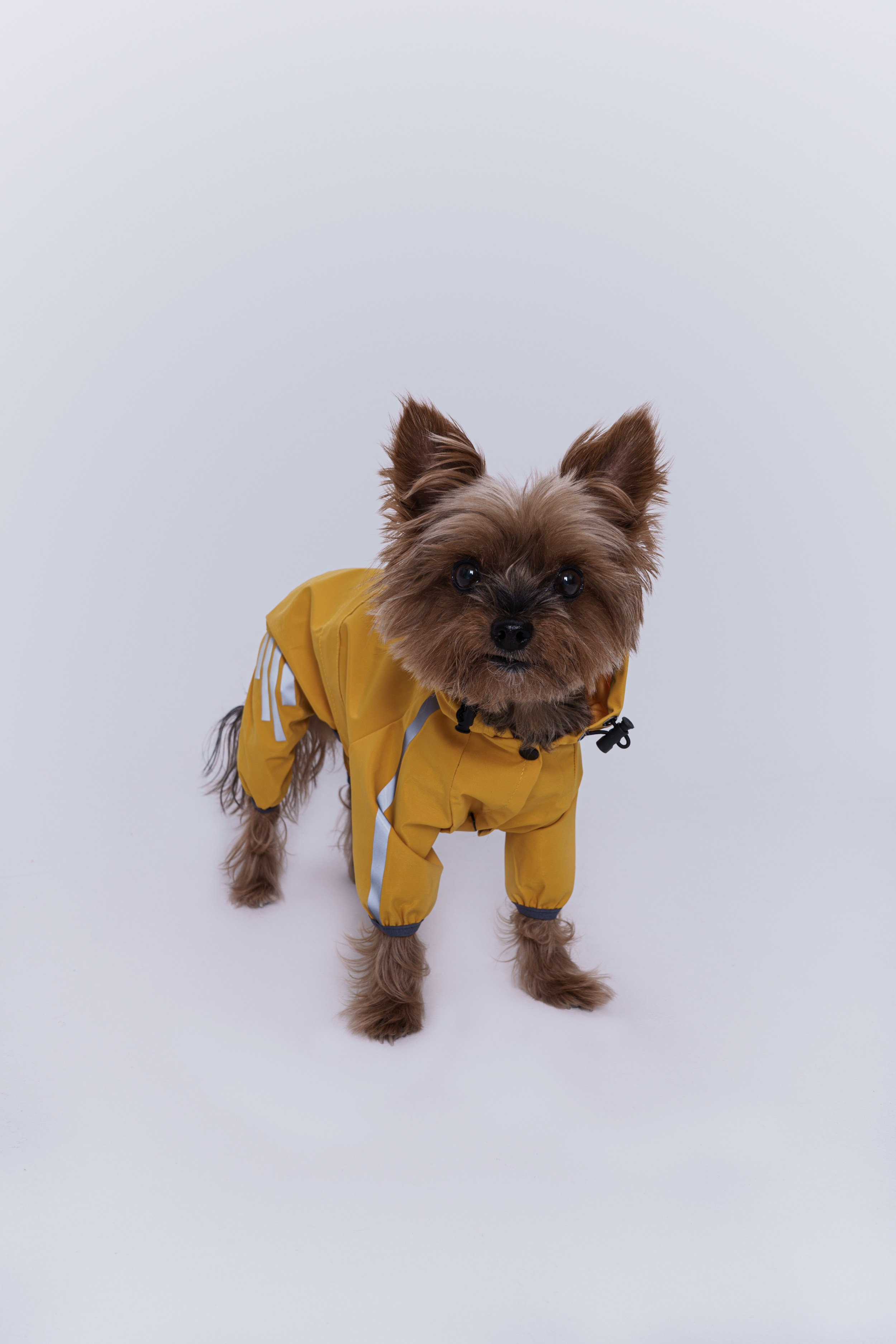 Циклорама. Яна Трилис — Коммерческий фотограф. Лукбуки, каталоги, компейны. Москва | Санкт-Петербург