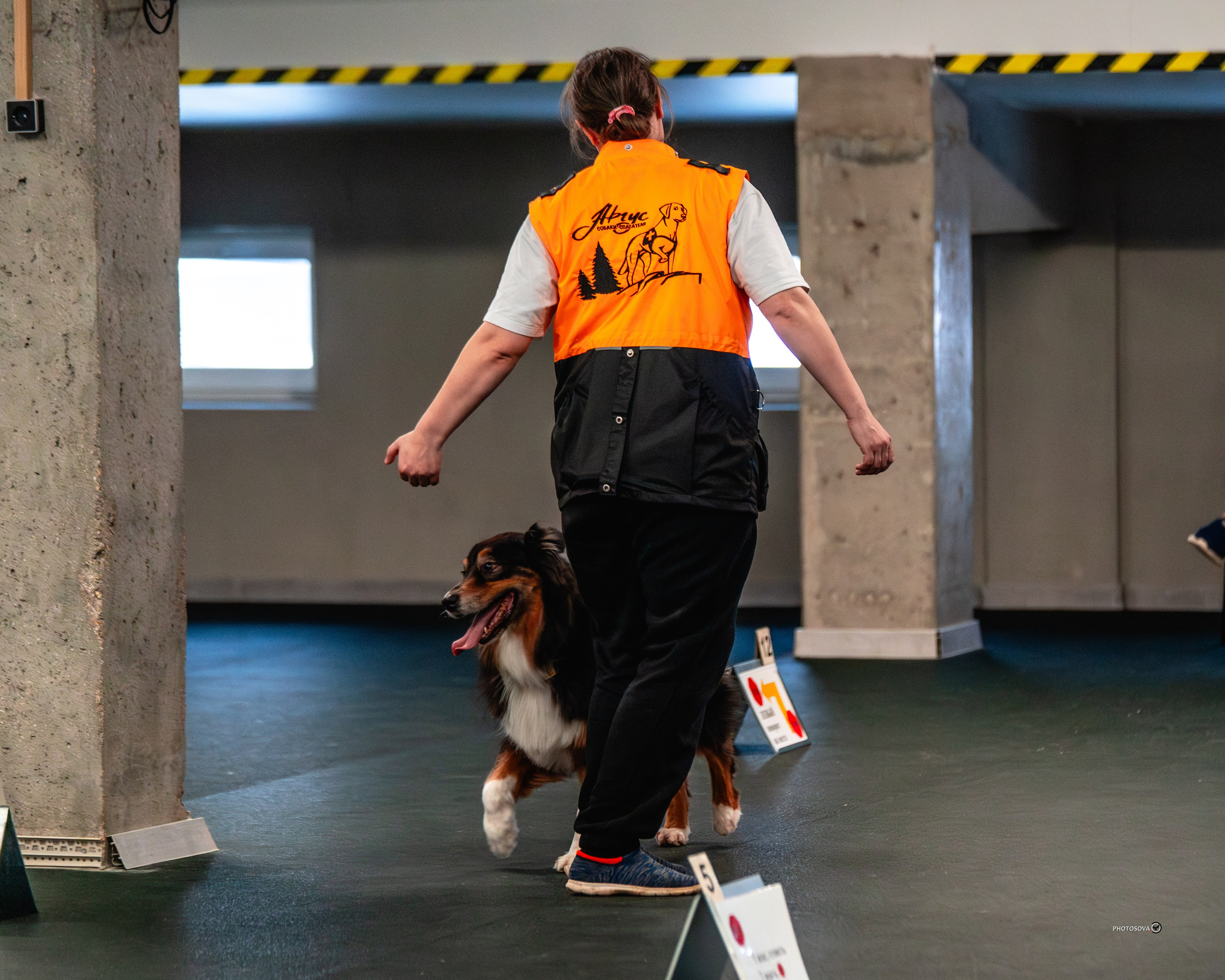 ТЫ И Я (соревнования по ралли-обидиенс). Фотограф-анималист, семейный фотограф в Москве и Подмосковье. Фотосъёмка кинологических дисциплин