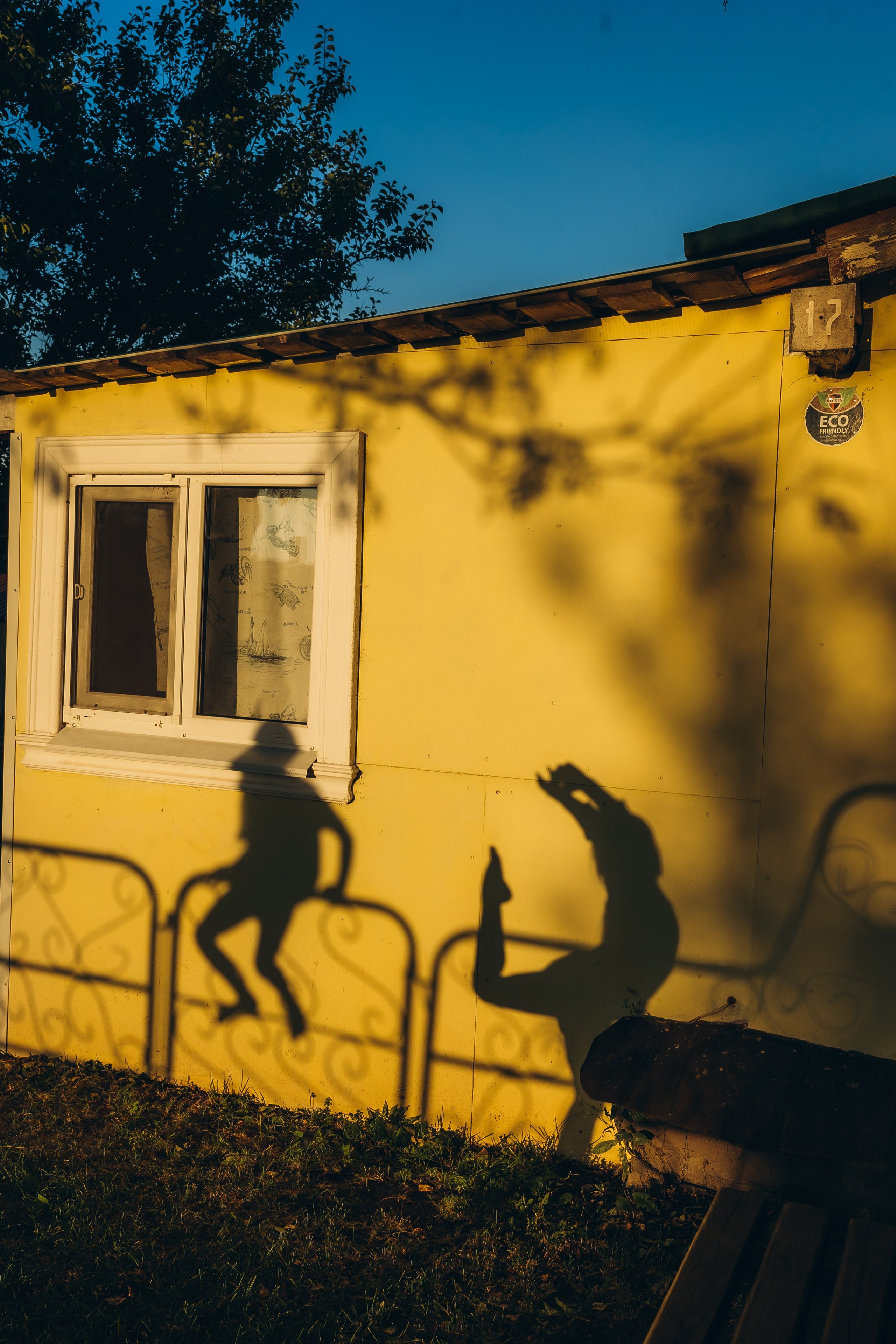 Персональная выставка в галерее Арт Муза (Санкт-Петербург). Семейный фотограф в Москве Марина Аргунова