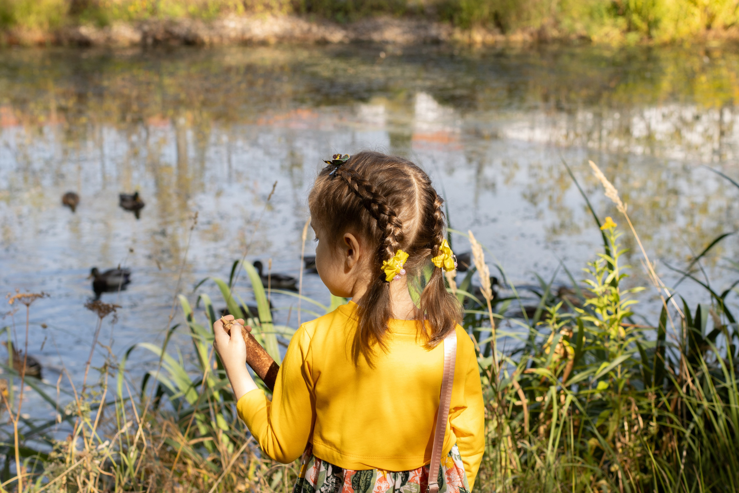 Саша и Маша лесная прогулка. Главная