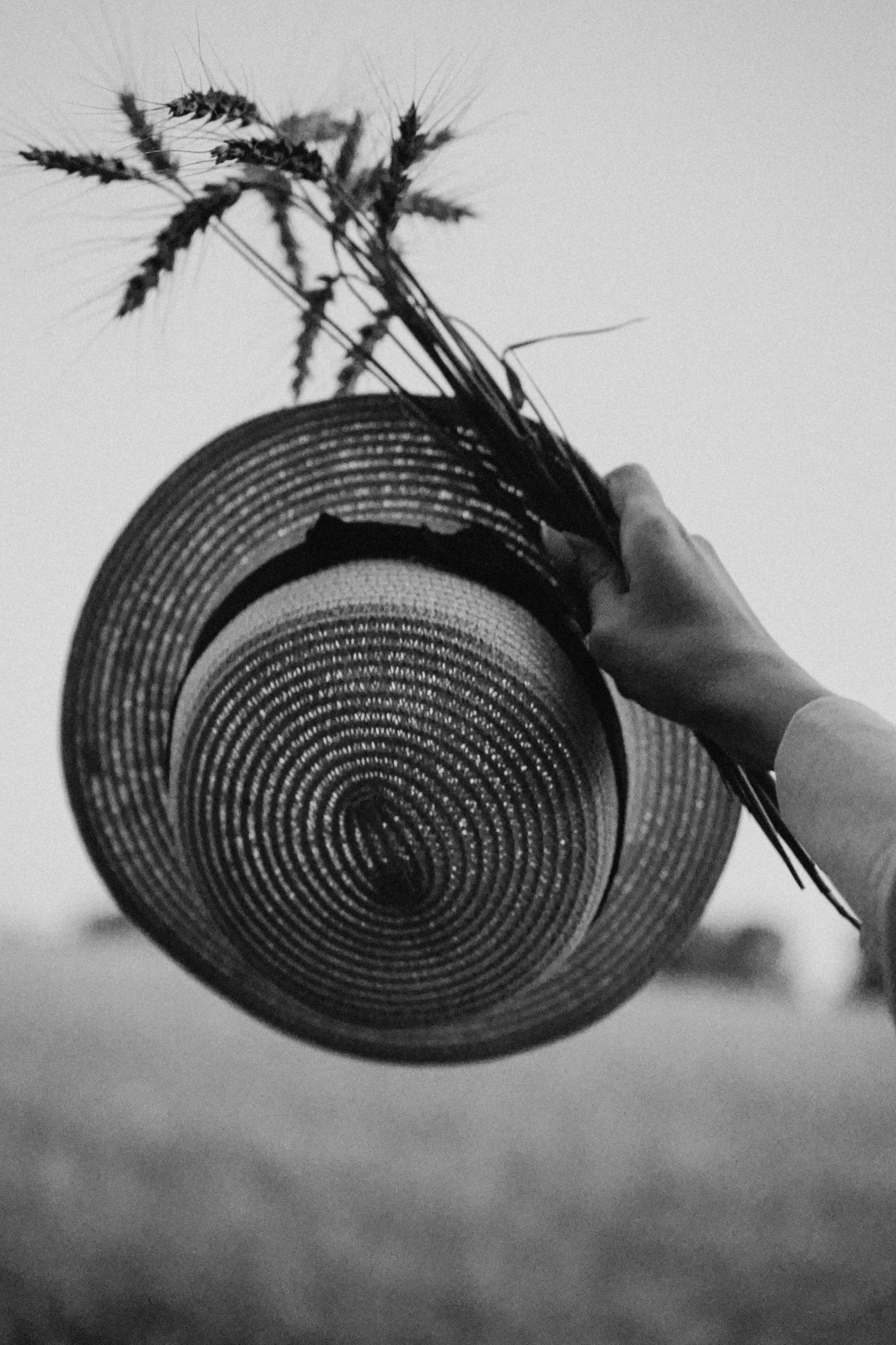 Летний вечер. Профессиональный фотограф, Санкт-Петербург — Виктория Богомолова