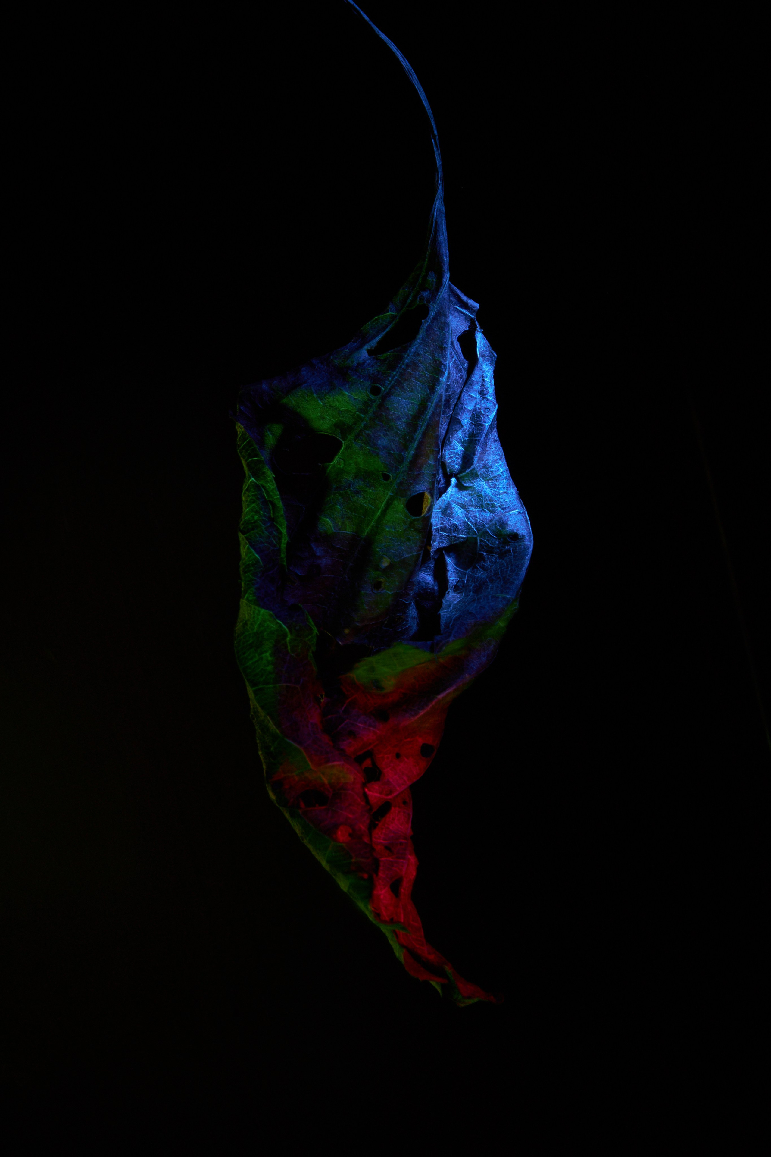 «Красок Тьма Полна». Арт-фотограф во Владивостоке Дмитрий Осипчук