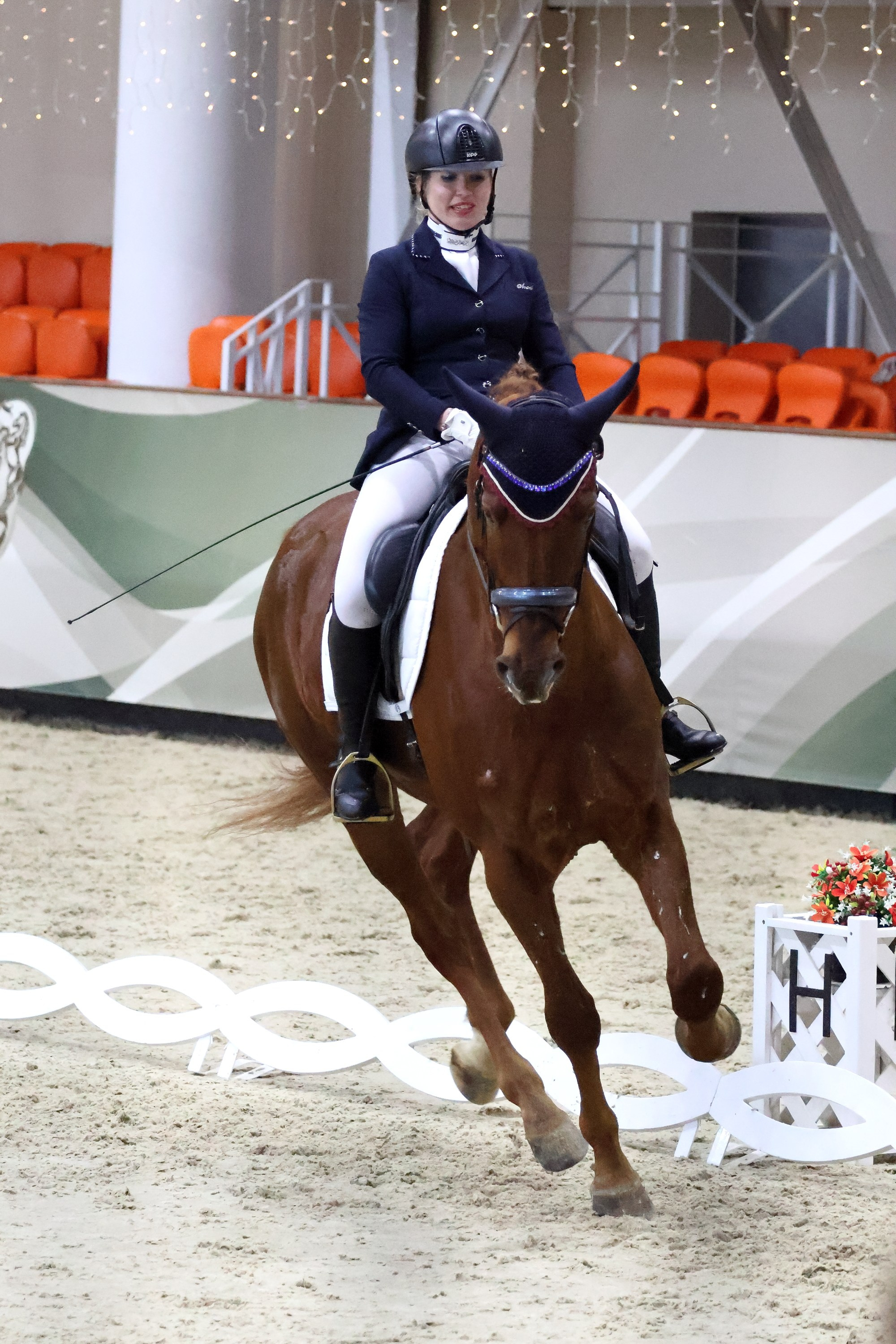 Соревнования по выездке КСК «Виват, Россия!». Спортивный и репортажный фотограф Ермакова Светлана