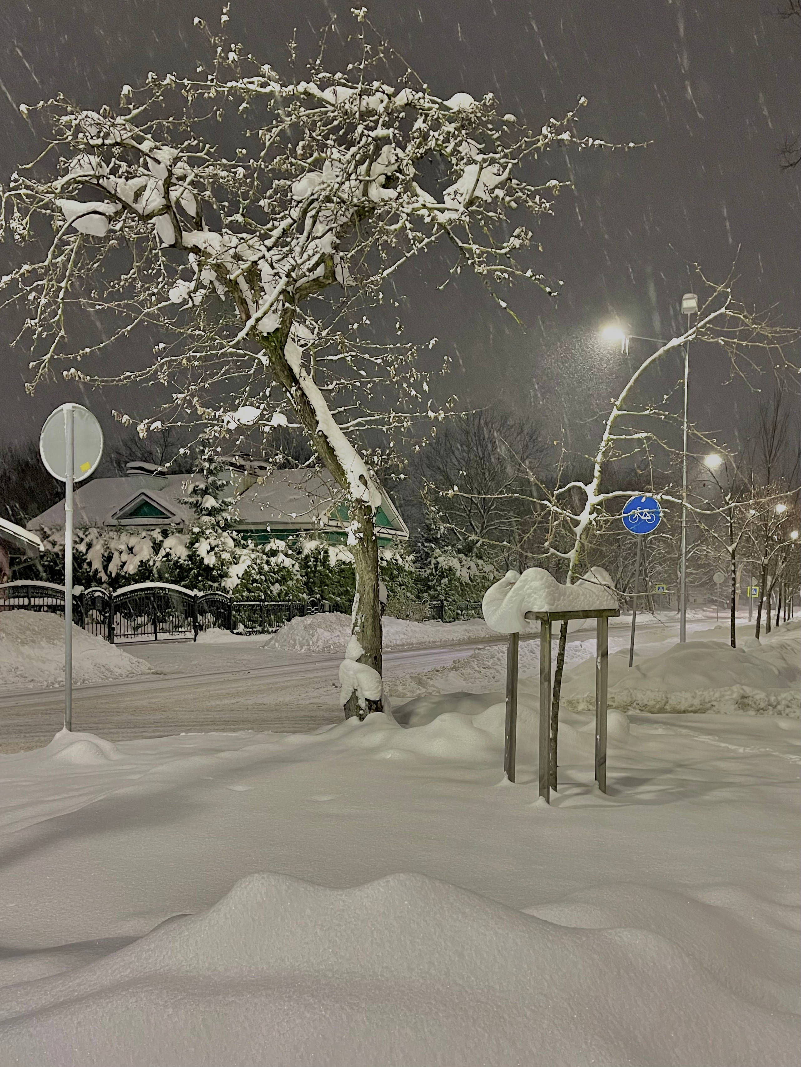 Стрит-фотография, пейзаж. Фотограф в Пскове и Санкт-Петербурге Татьяна Рейнелл
