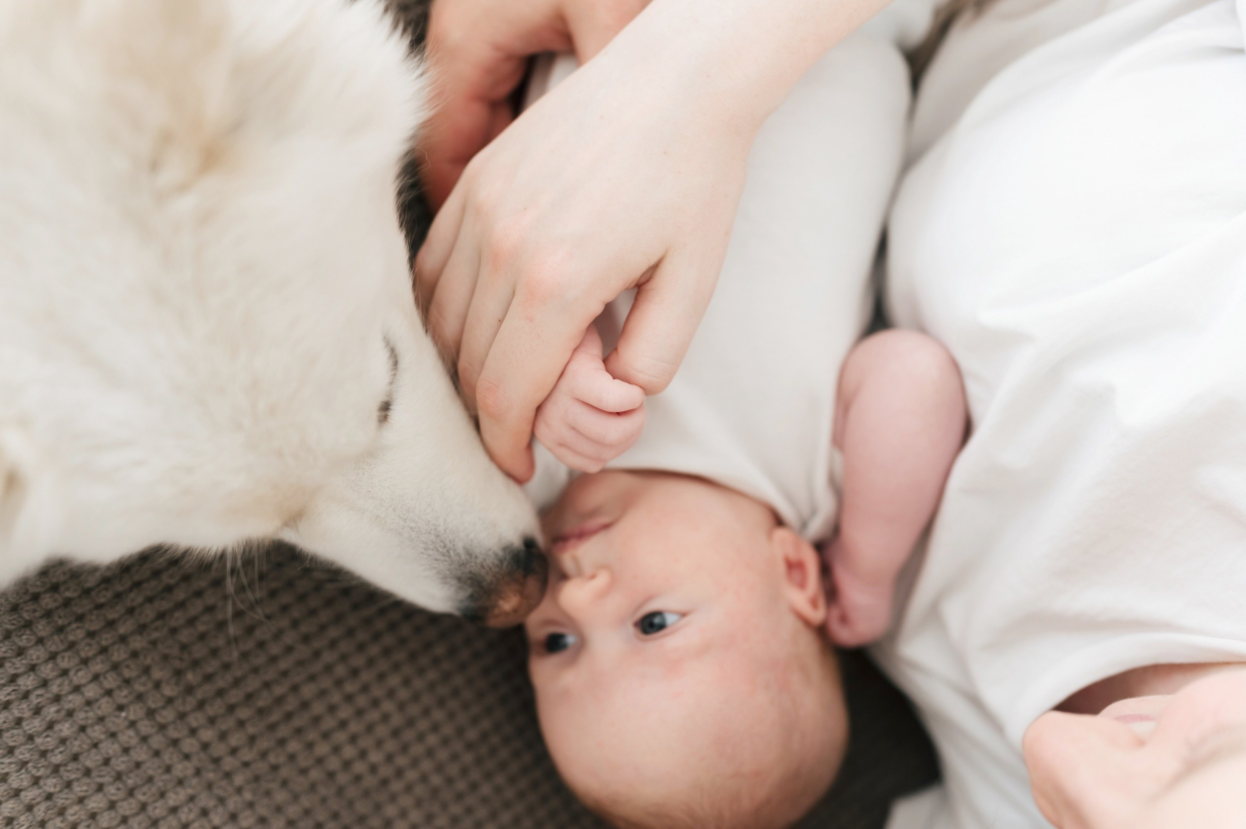 Влада, Саша, Варя и Майя. Семейный и свадебный фотограф в Миассе Регина Малахова
