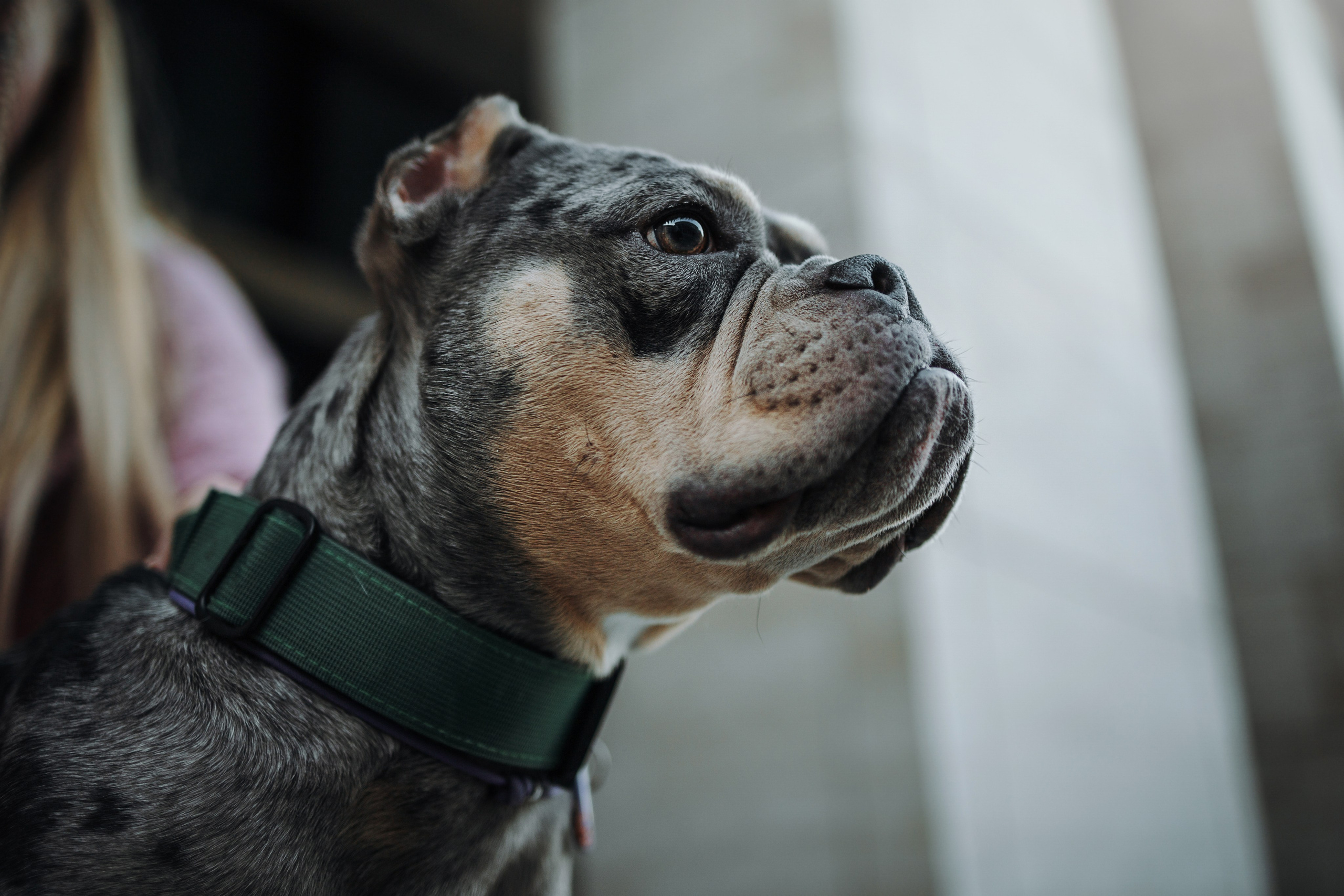 Лера и ее булочки. Фотограф — Анималист | Санкт-Петербург