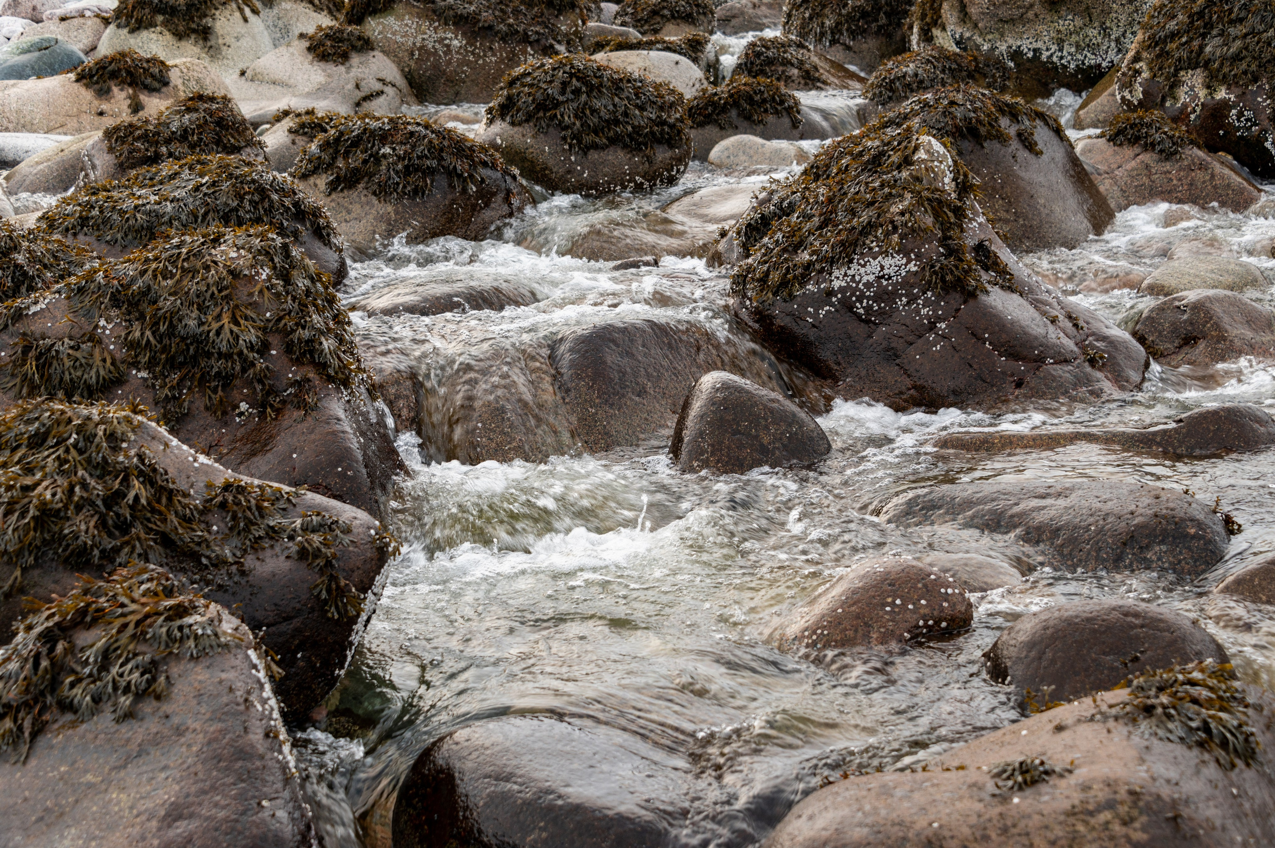 Териберка. Ноябрь 2023. Фотограф Роман Адлер