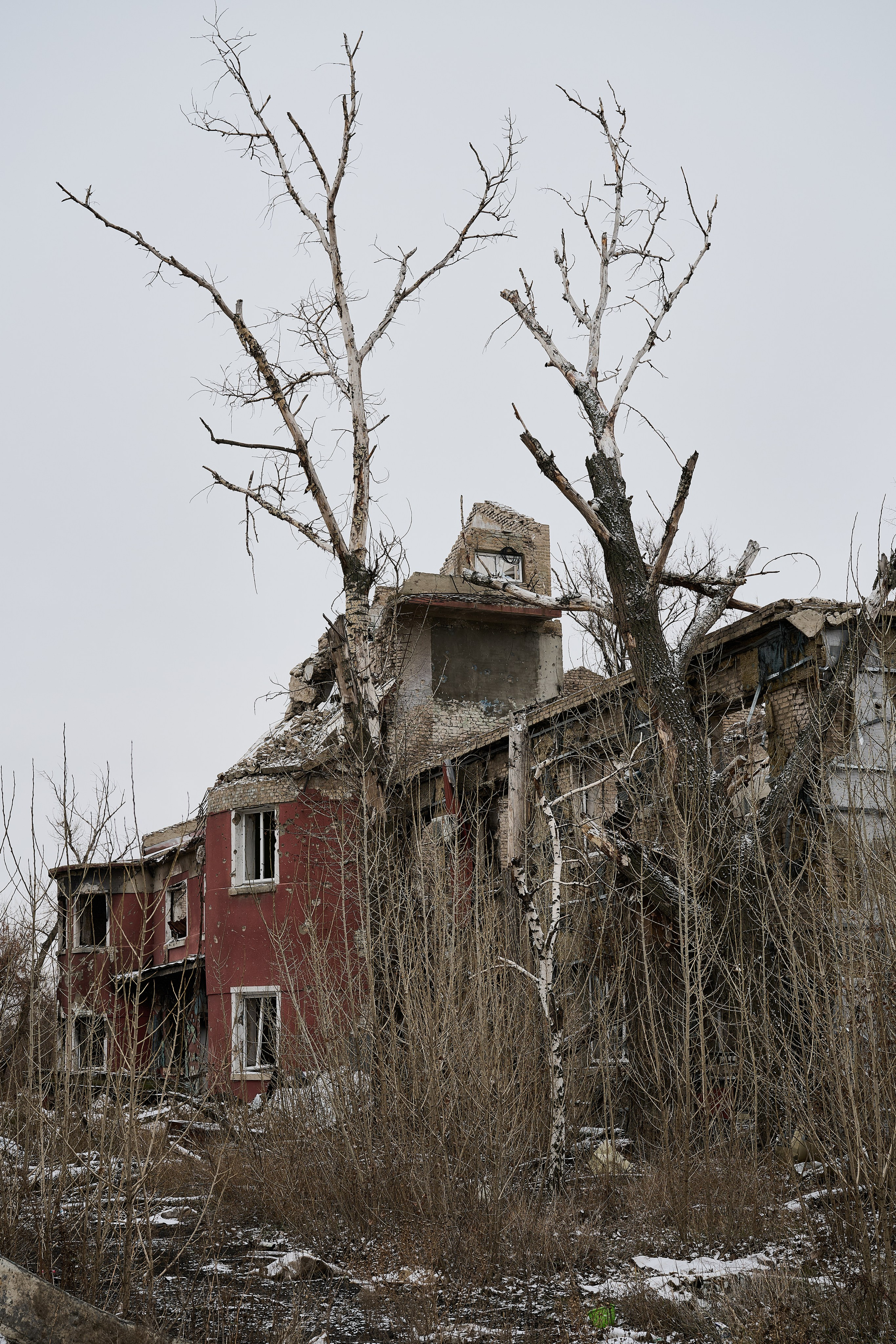 Северодонецк (Луганская область). Декабрь 2024. Фотограф Роман Адлер