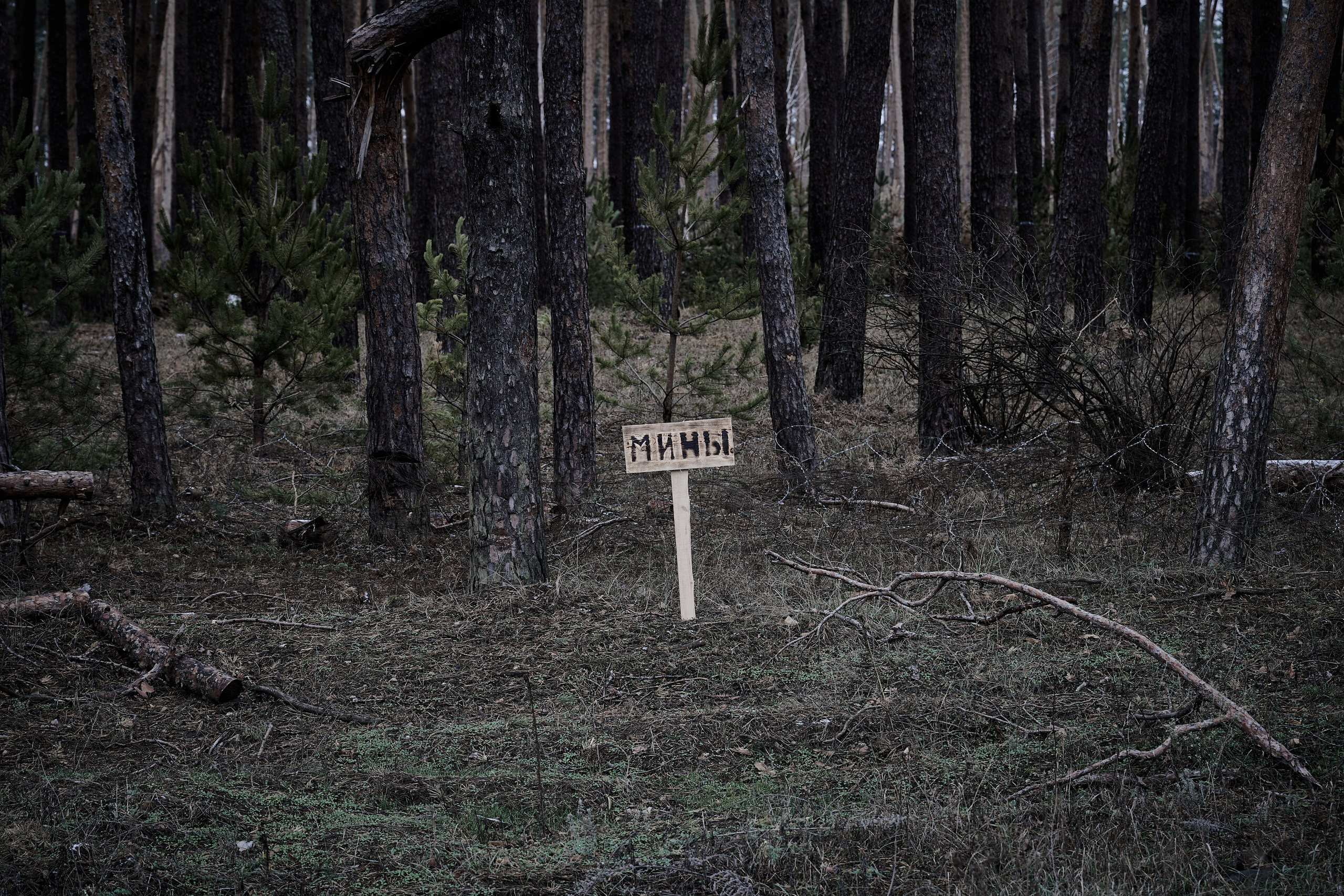 Съемки для фотопроекта Территории. Фотограф Роман Адлер