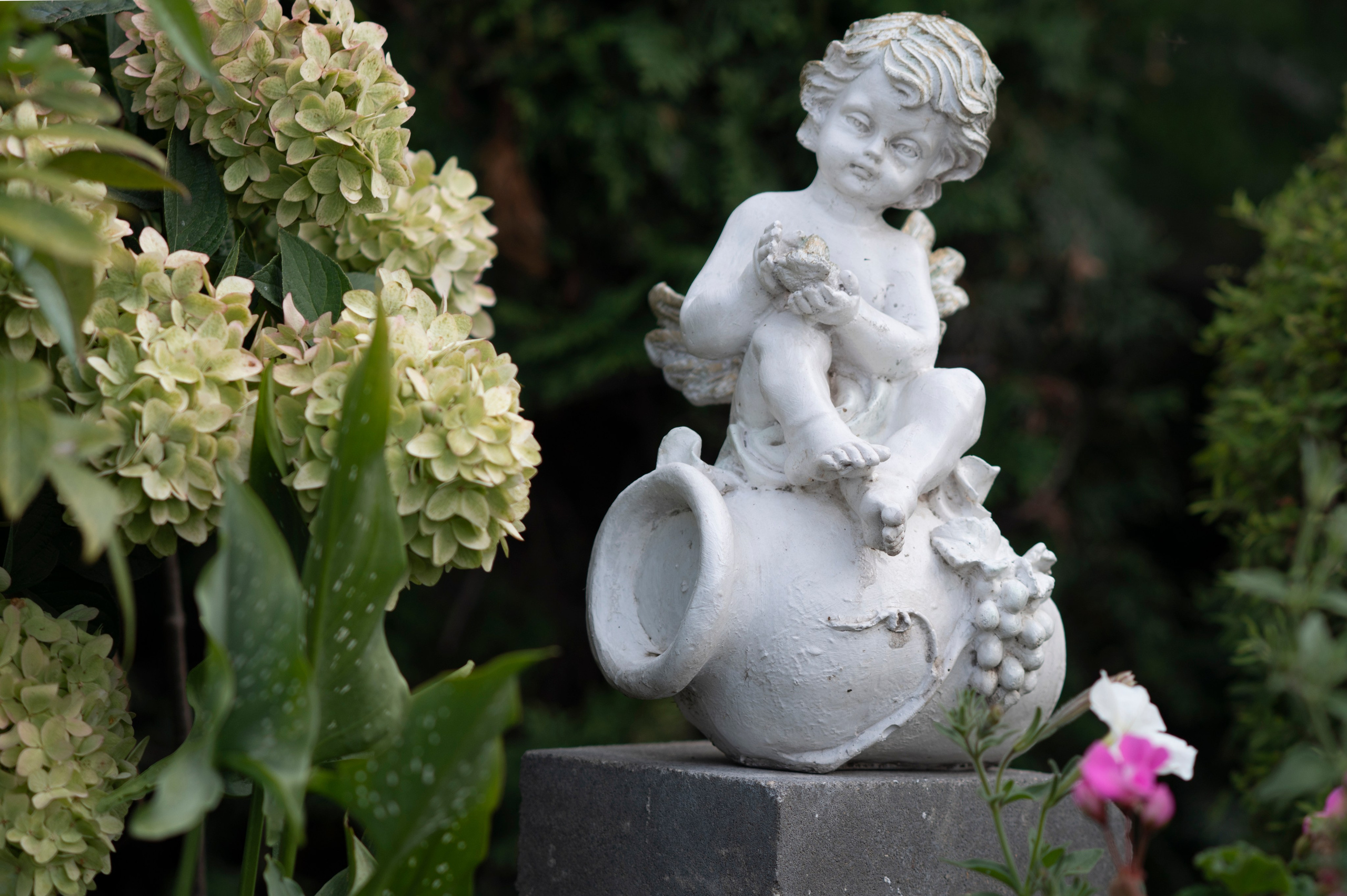 Муром. Сентябрь 2022. Фотограф Роман Адлер