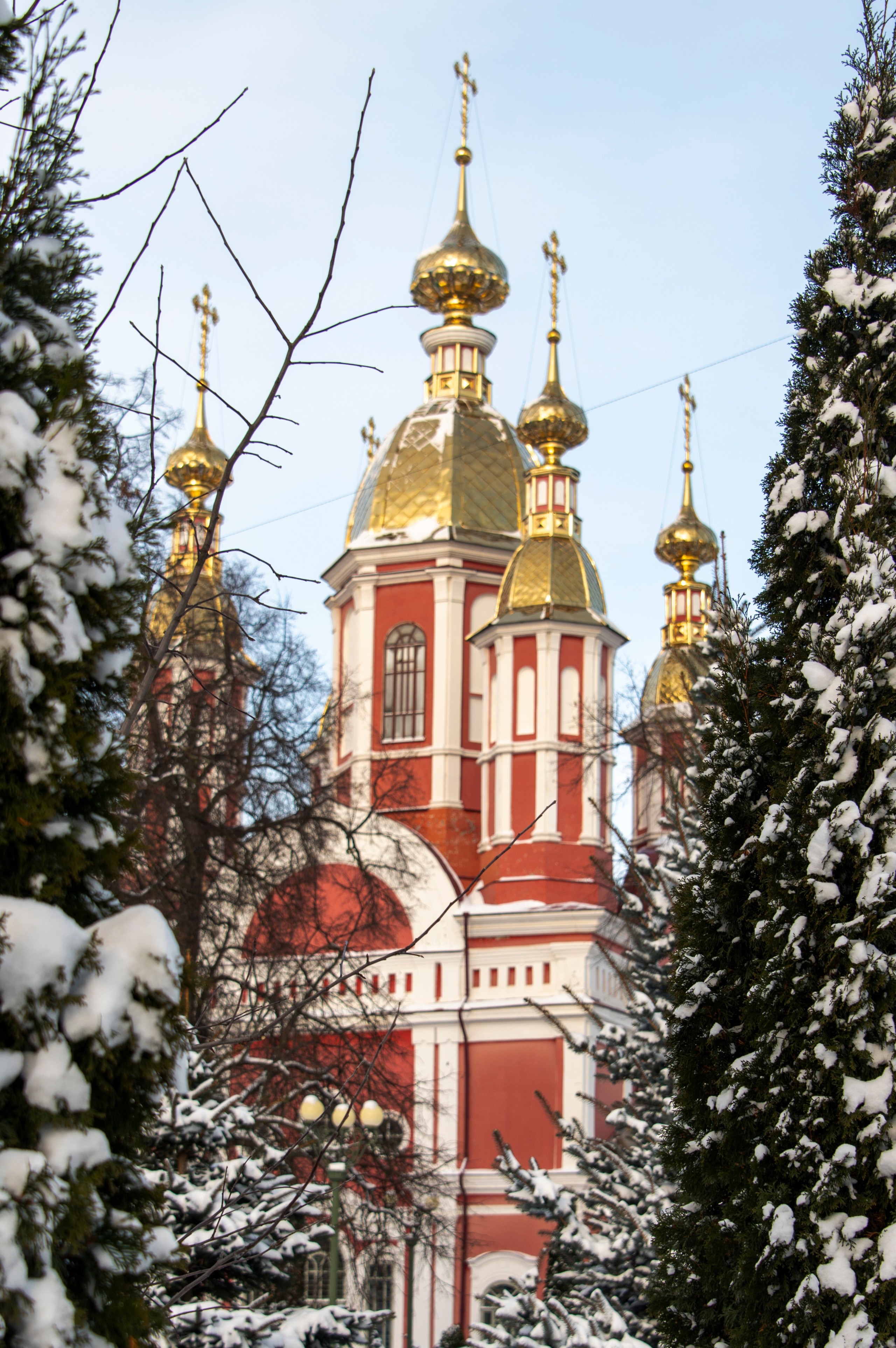 Январский Тамбов. 2024 год. Фотограф Роман Адлер