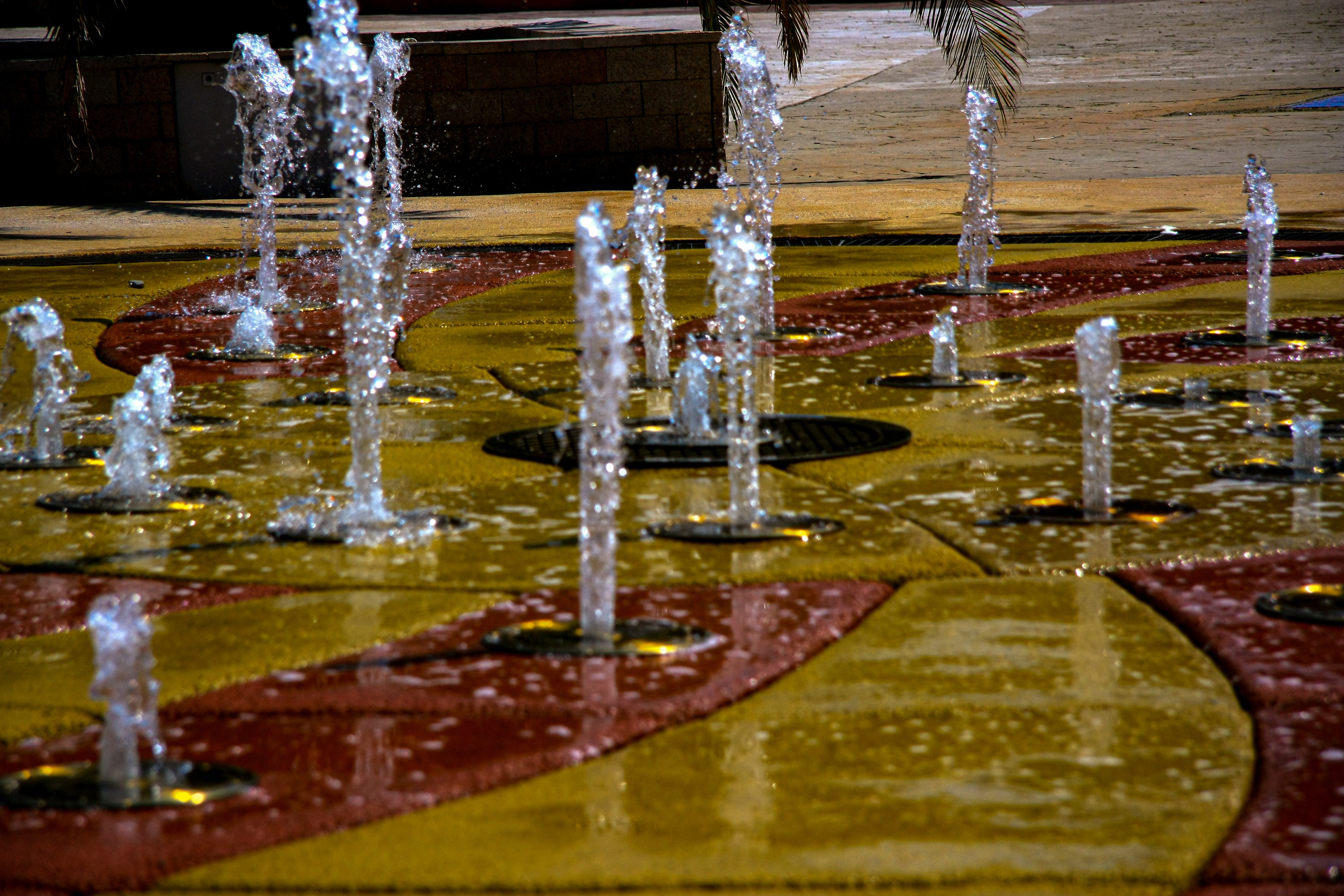 Первые кадры. Сочи — парк. Фотограф Роман Адлер