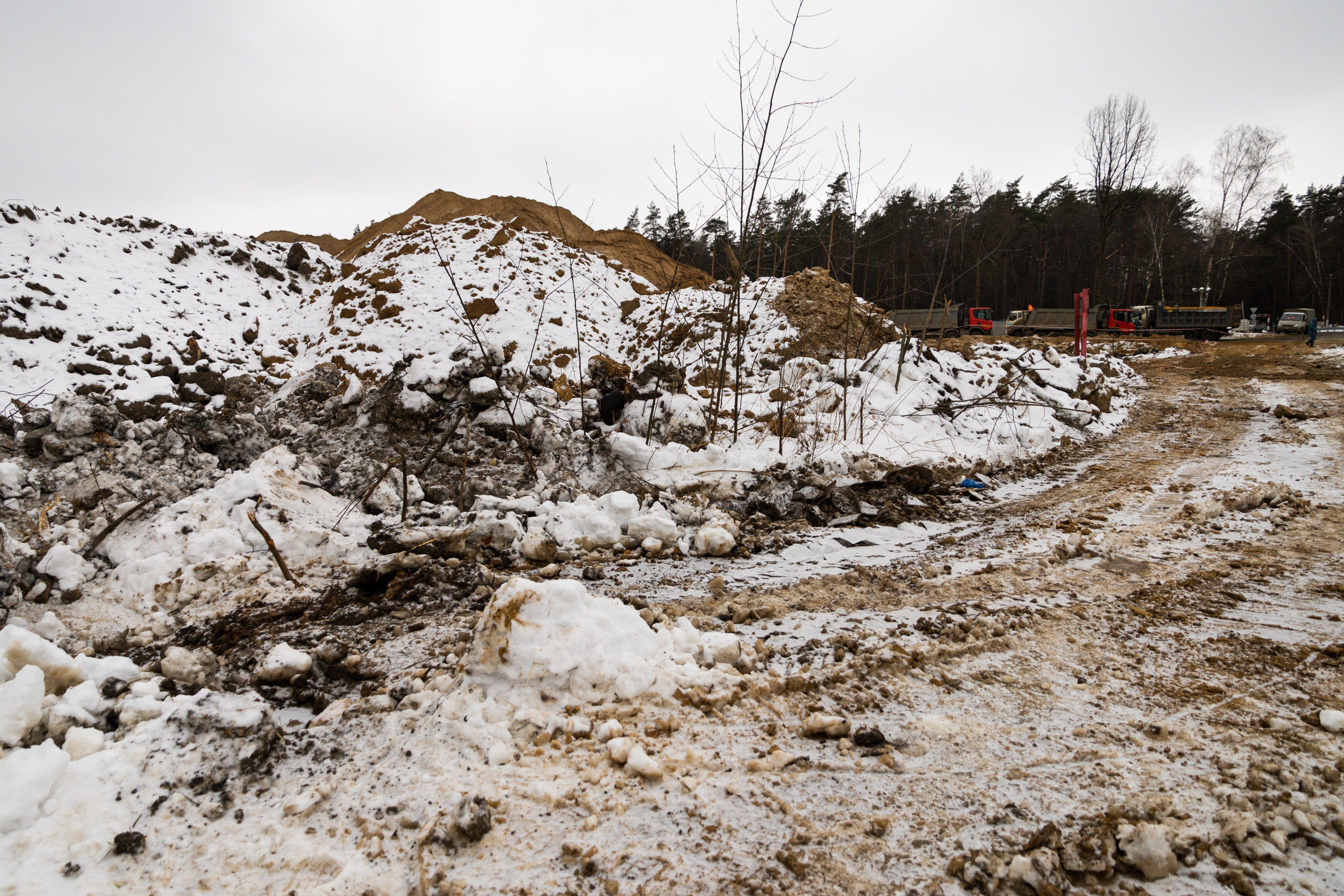 Я здесь живу. DASHA KALNINA