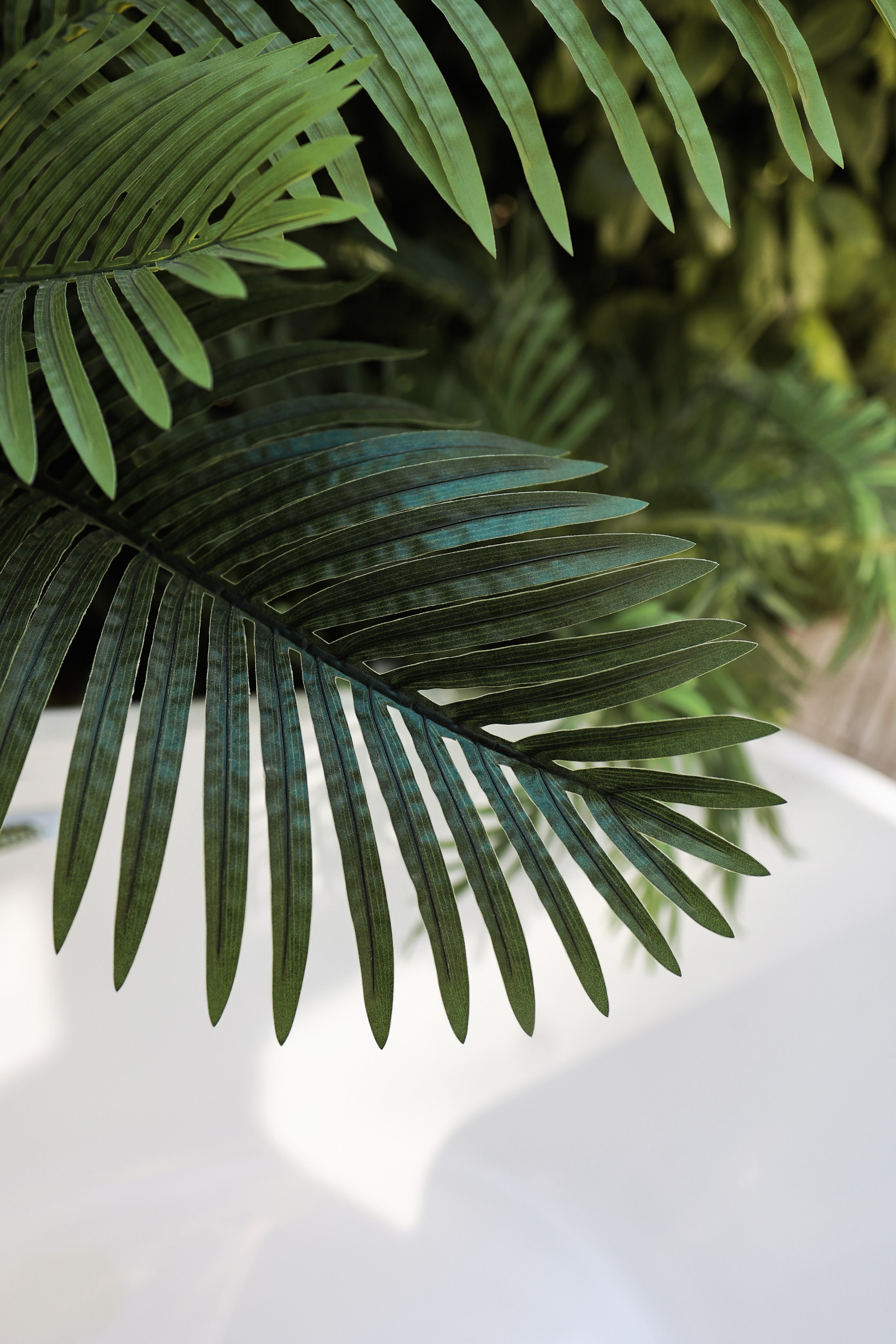 Руслана. Withlovent | Фотограф в Севастополе