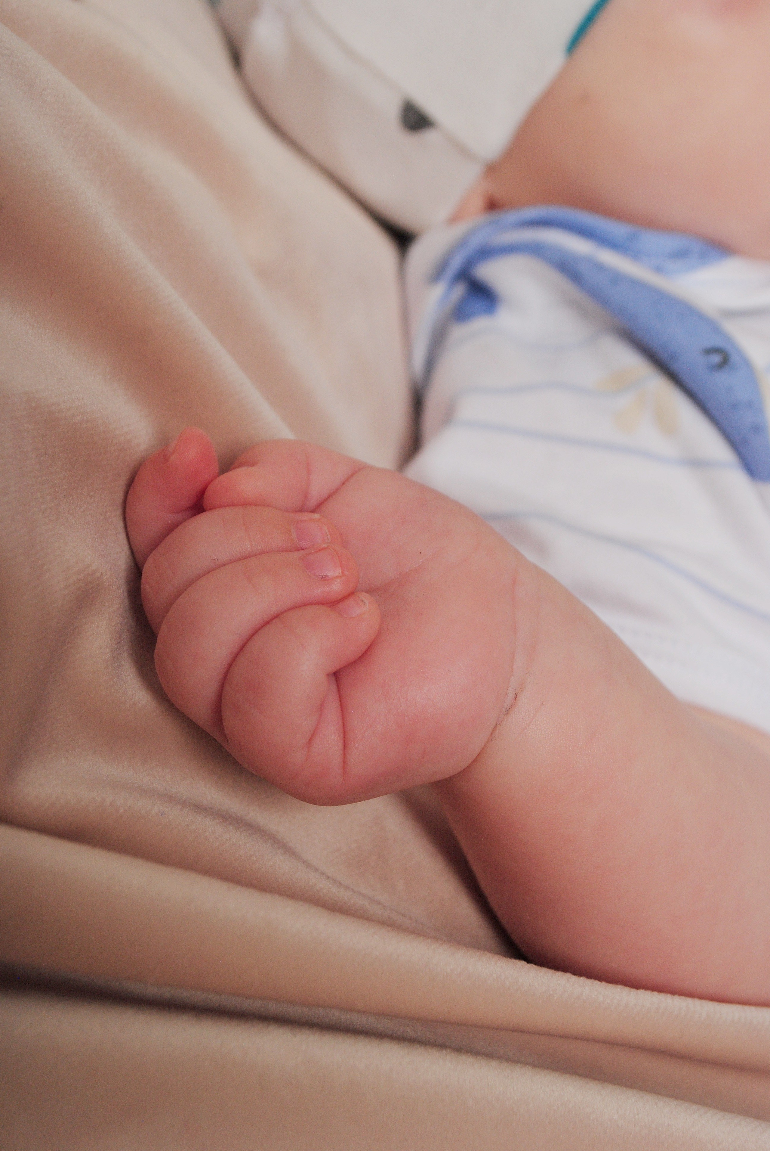 Дети. Фотограф Мария Мусаелян