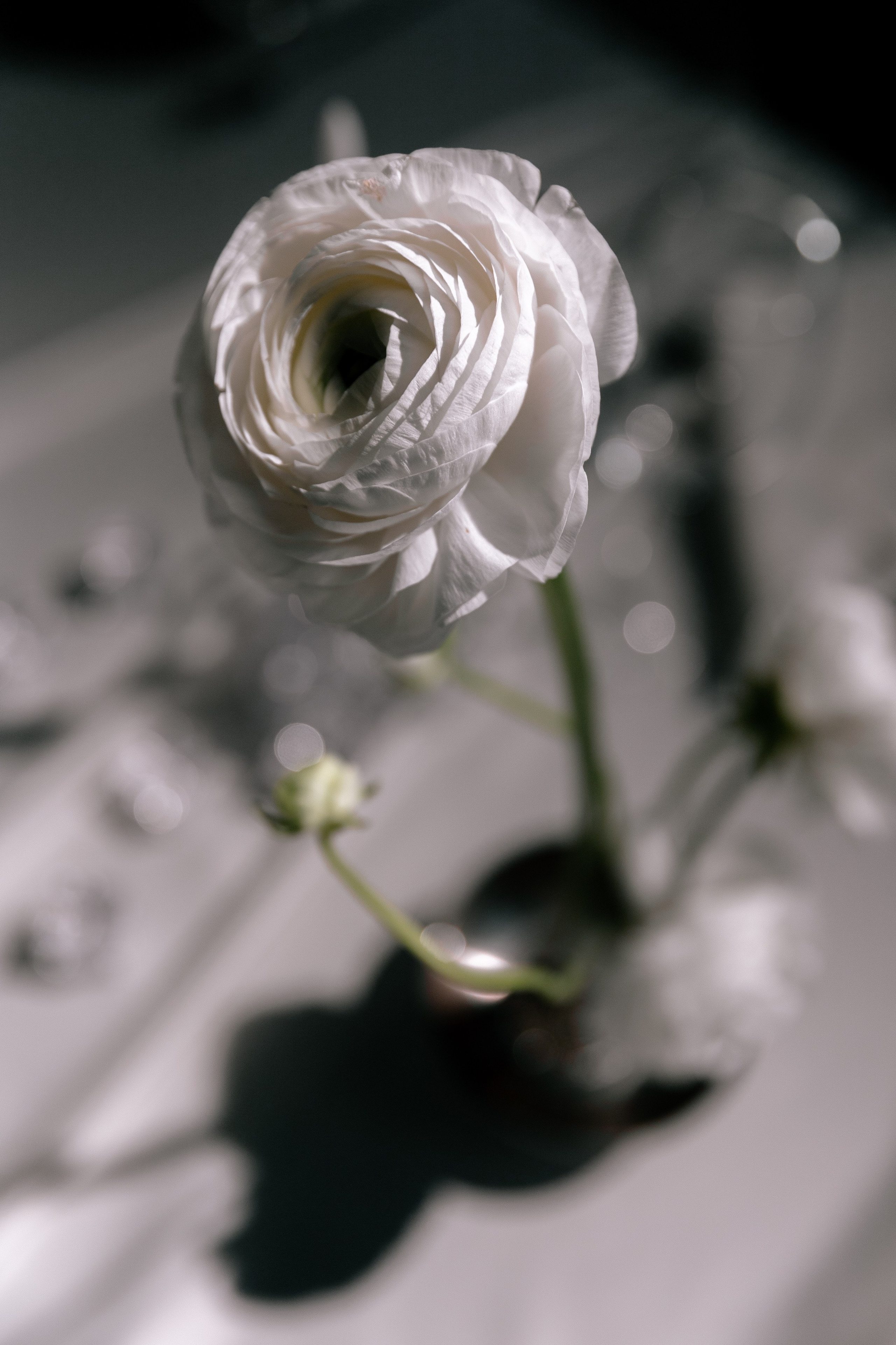 Backstage. Свадебный организатор в Тольятти | Самаре