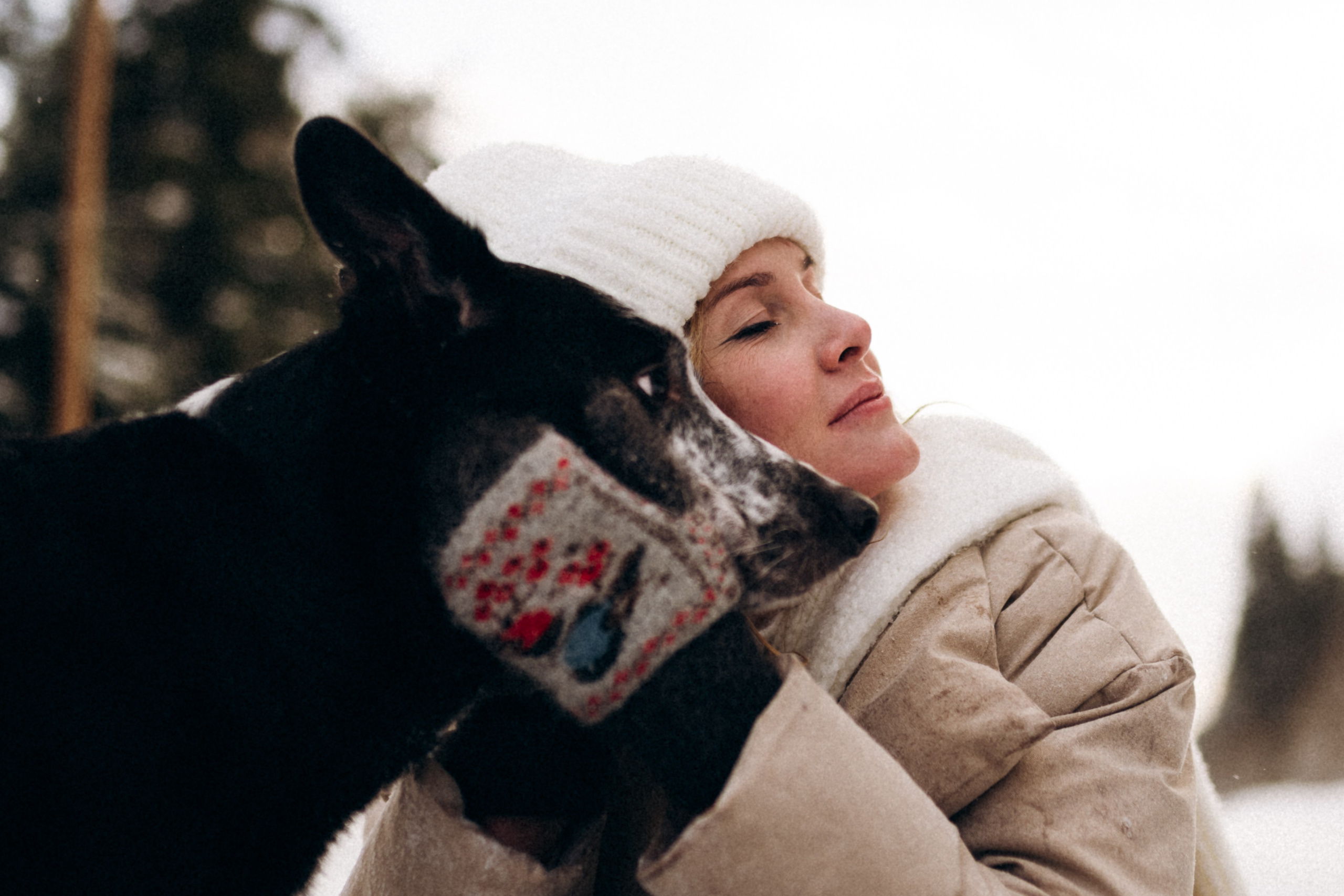 Аня и Милан. Фотограф анималист в Москве Ольга Агушева