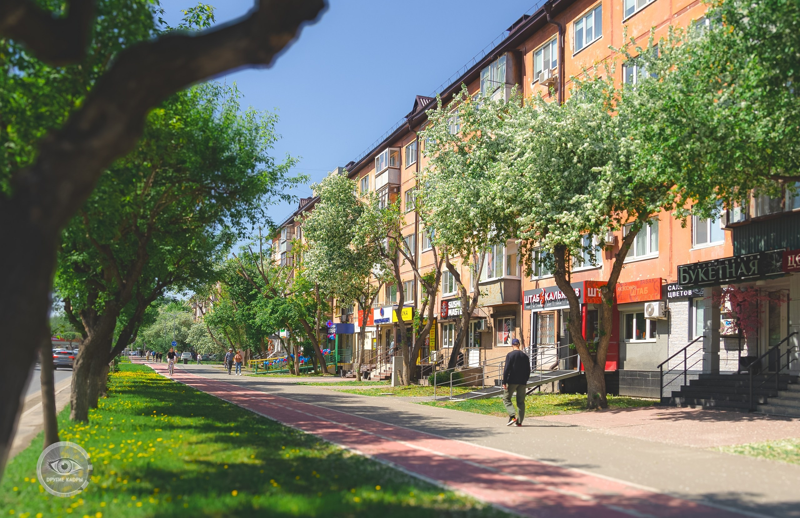 Краеведческие записки. Выпуск 1