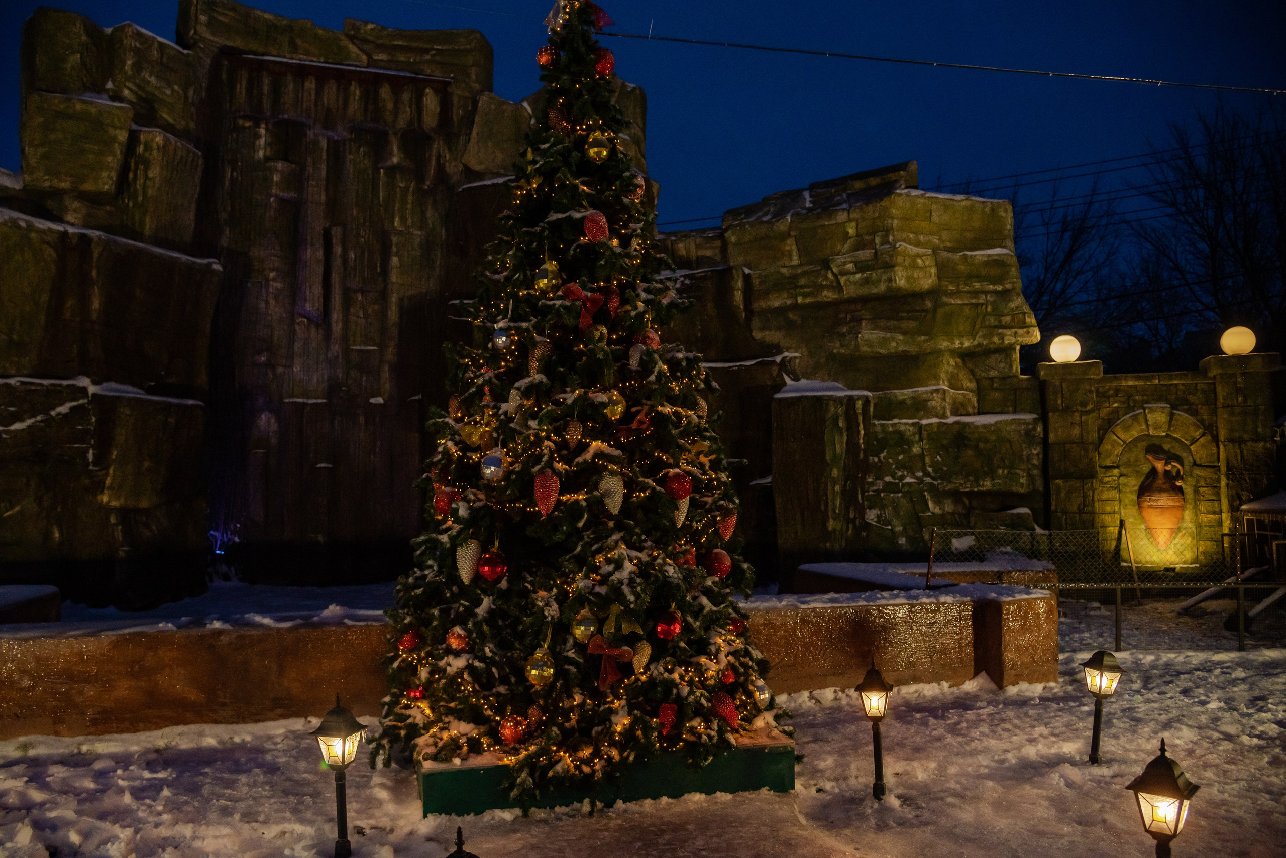 Эдгар и Элина. Фотограф Галина Нестерова