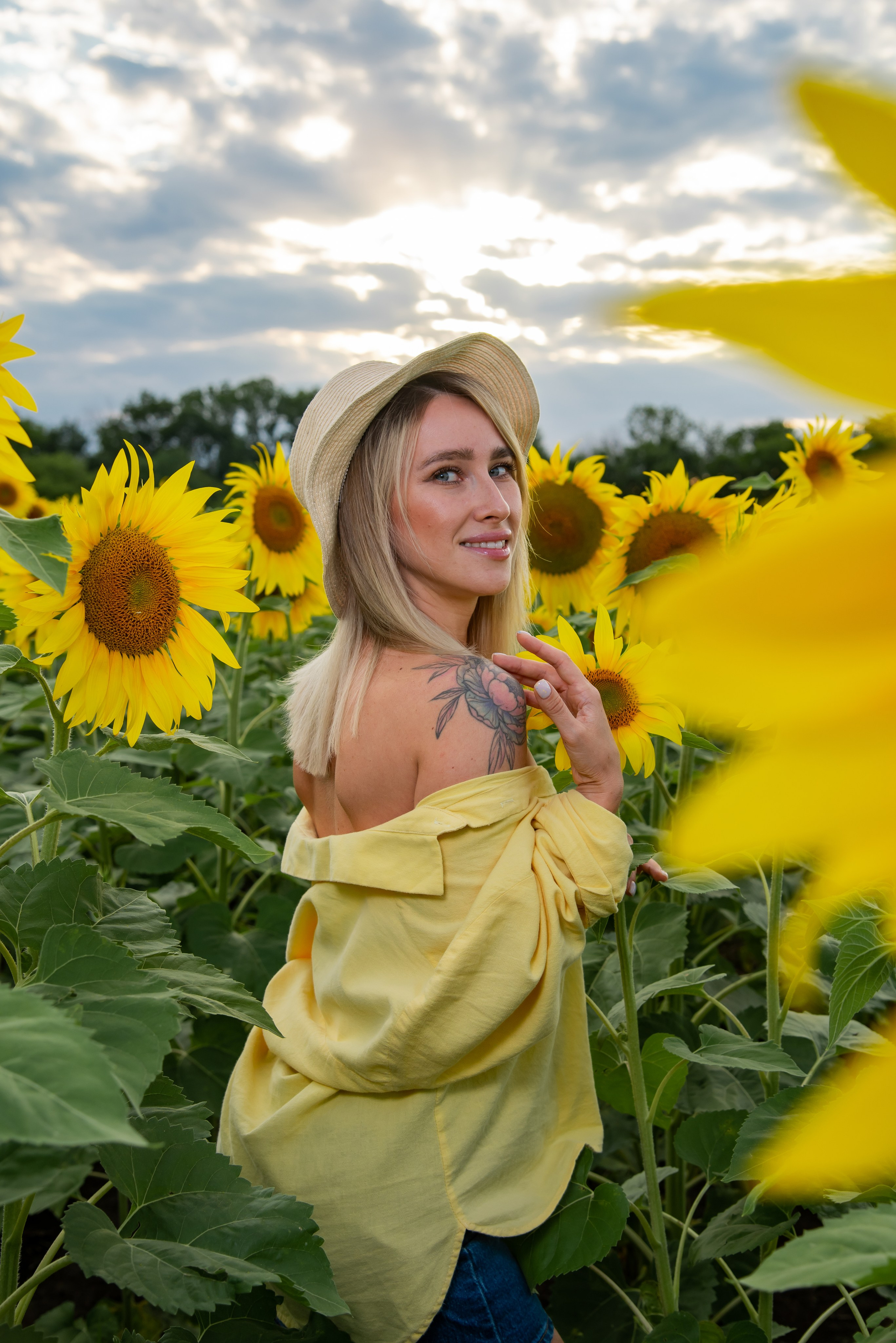 Подсолнух. Фотограф Галина Нестерова