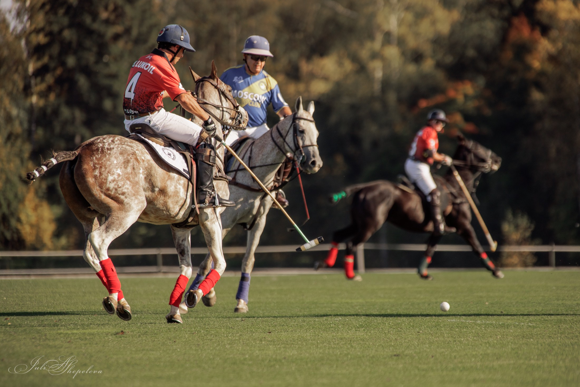 Осенний кубок по конному поло. Детская Конная фотография в Москве Юлия Шепелева
