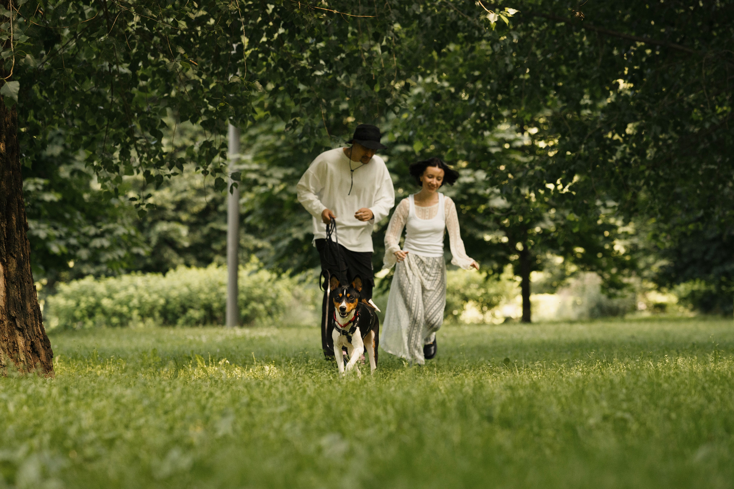 Златан. Фотограф- анималист Александра Матвеева